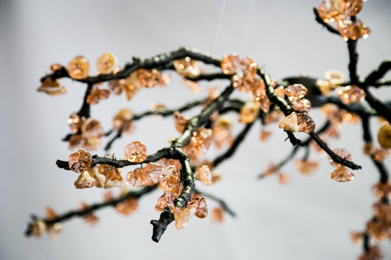 Almond Tree For Sale at 1stDibs