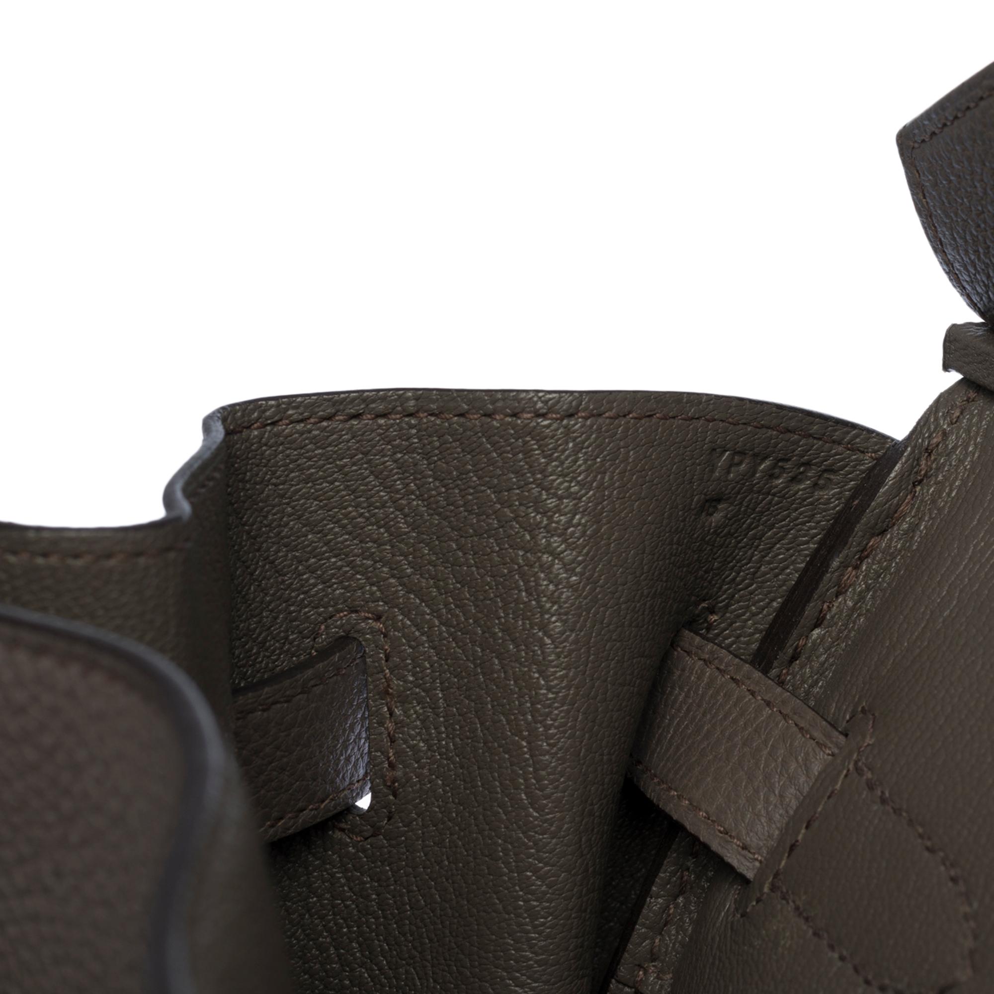Almost New -Full set-Hermès Birkin 35 handbag in Etain Togo leather, SHW 1