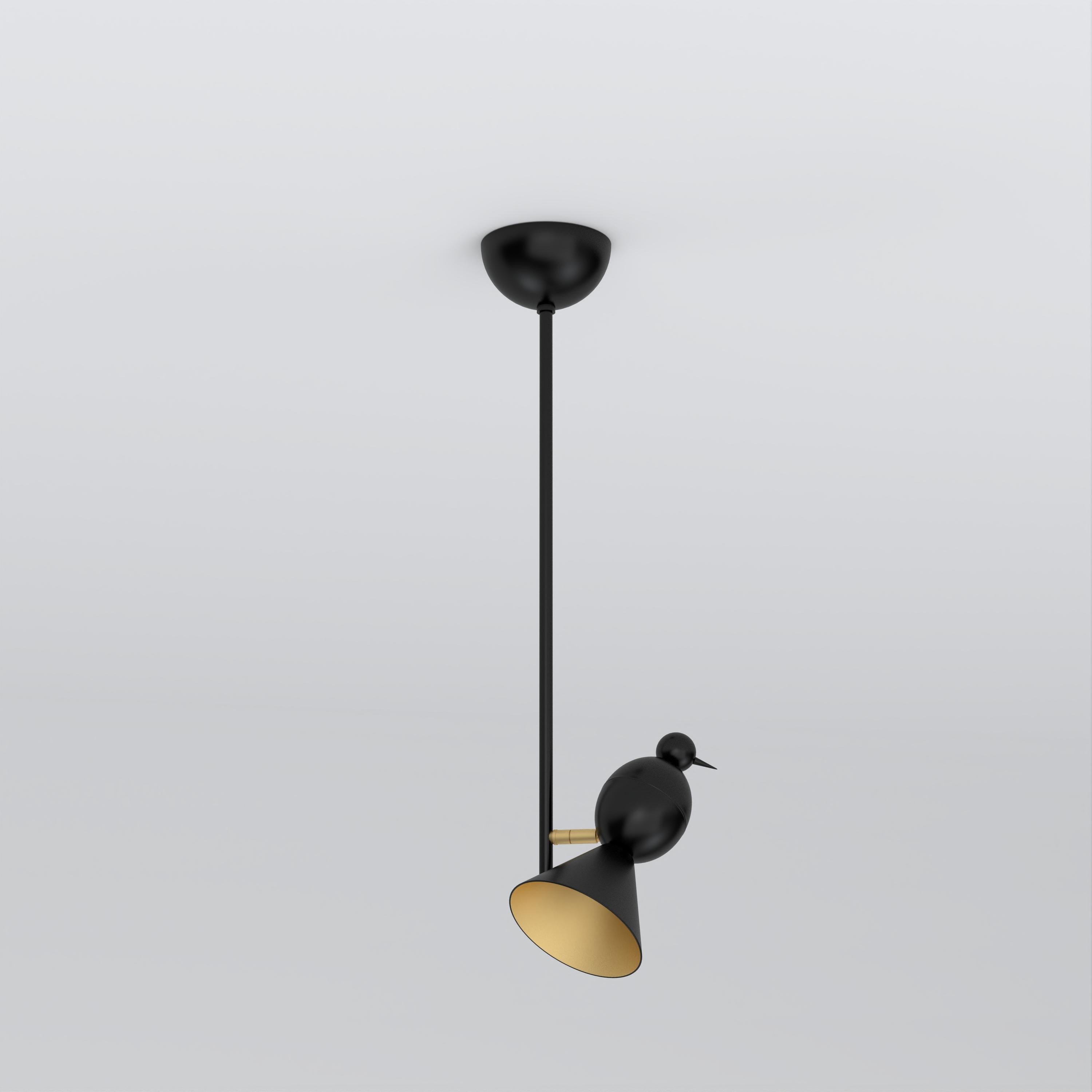 Plafoniera Alouette 1 Bird I di Atelier Ati
Dimensioni: P 10 x L 12 x H 60 cm.
Materiali: Metallo verniciato a polvere.

Disponibile nelle versioni nera, bianca o a colori.
Disponibile anche con riflettore bianco.

Tutte le nostre lampade possono