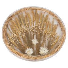 Alpac Creations Bandeja Tabla Plato Lucite, Trigo y Flores, Años 80