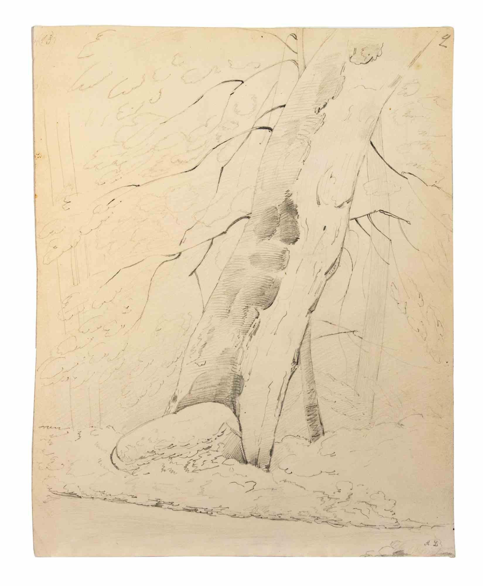 Baum des Lebens ist eine Bleistiftzeichnung von Alphonse Legros (1837-1911).

Guter Zustand auf vergilbtem Papier.

Monogramm des Autors in der rechten unteren Ecke des Kunstwerks.

Alphonse Legros (Dijon, 1837 - Watford, 1911) war ein