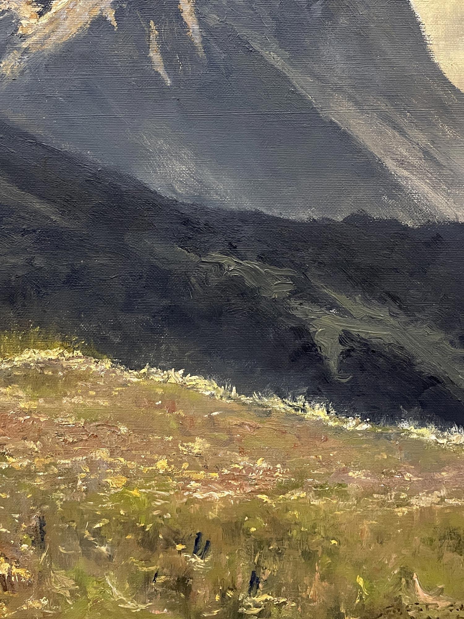Paesaggio alpino olio su tela in vendita 3