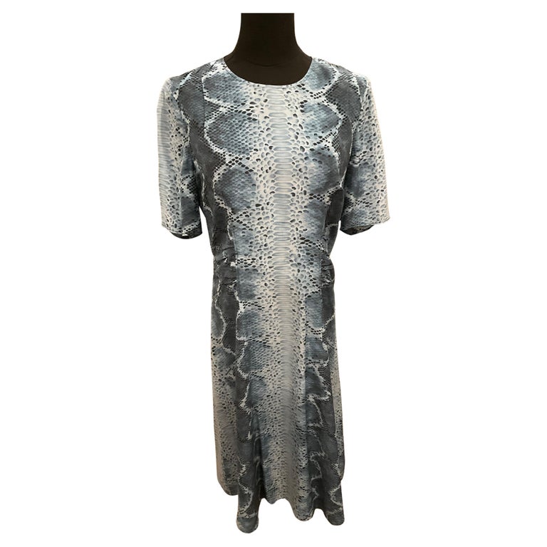 Altuzarra Blue Print Dress