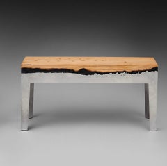 Banco de aluminio y tronco de árbol firmado por Hilla Shamia Design Studio