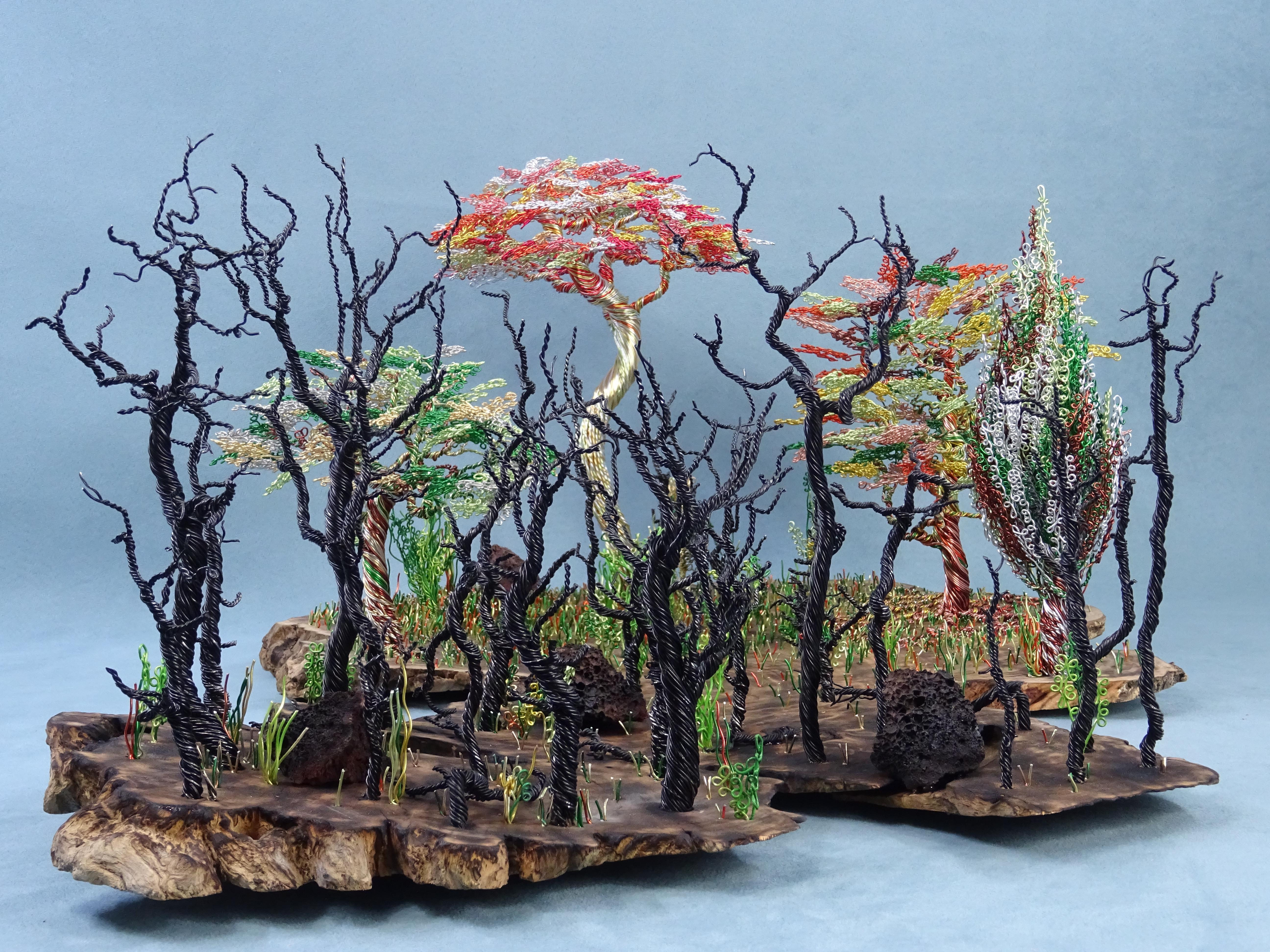 Italiano Bonsai Feng Shui 