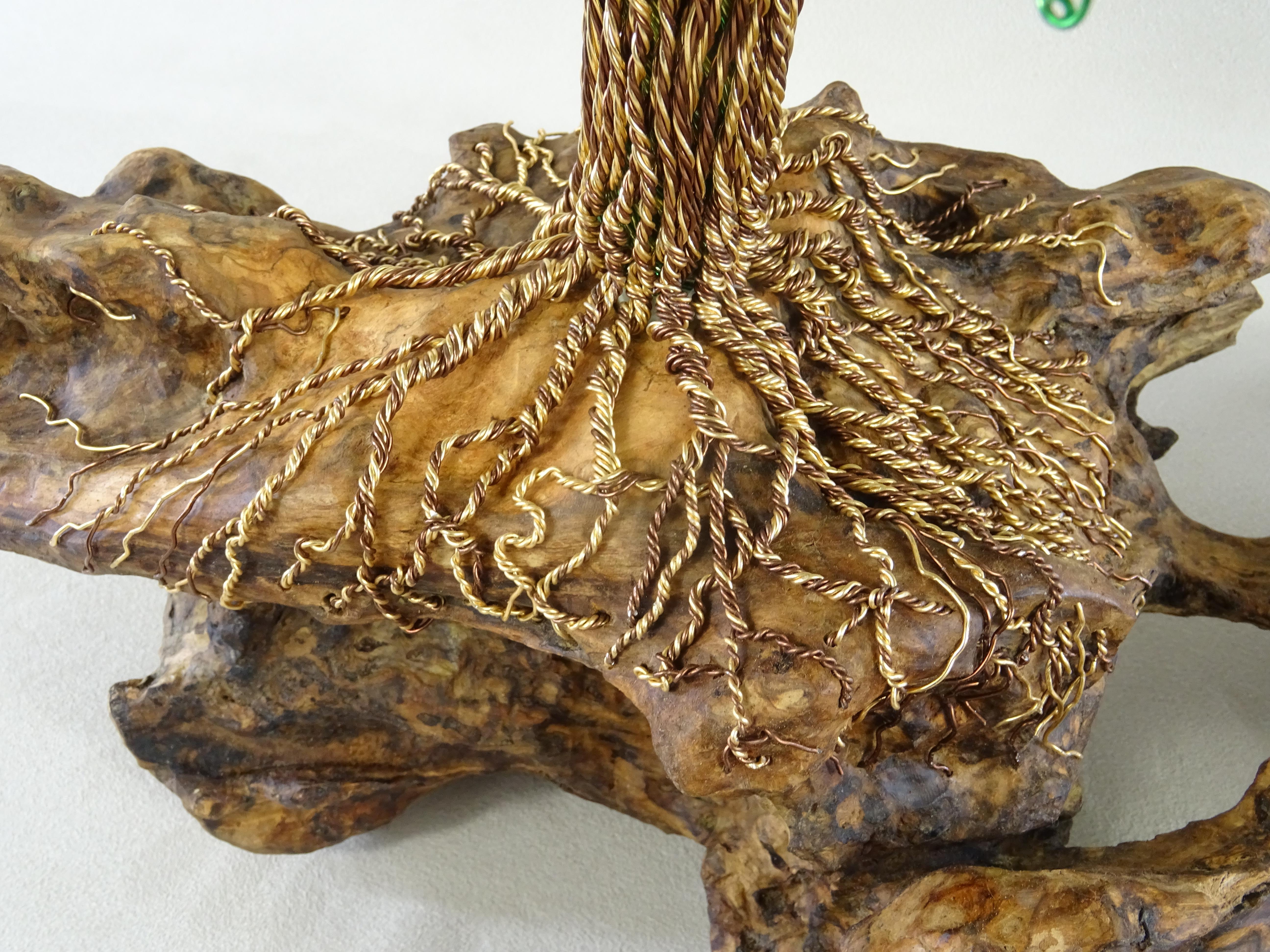bonsai salice piangente prezzo