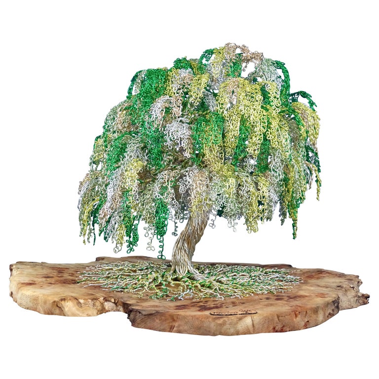 Bonsai Feng Shui "Little Green", Fatto a mano in Italia, Scultura,  Contemporaneo in vendita su 1stDibs Italia | salice piangente bonsai, bonsai  di salice piangente, bonsai salice piangente prezzo