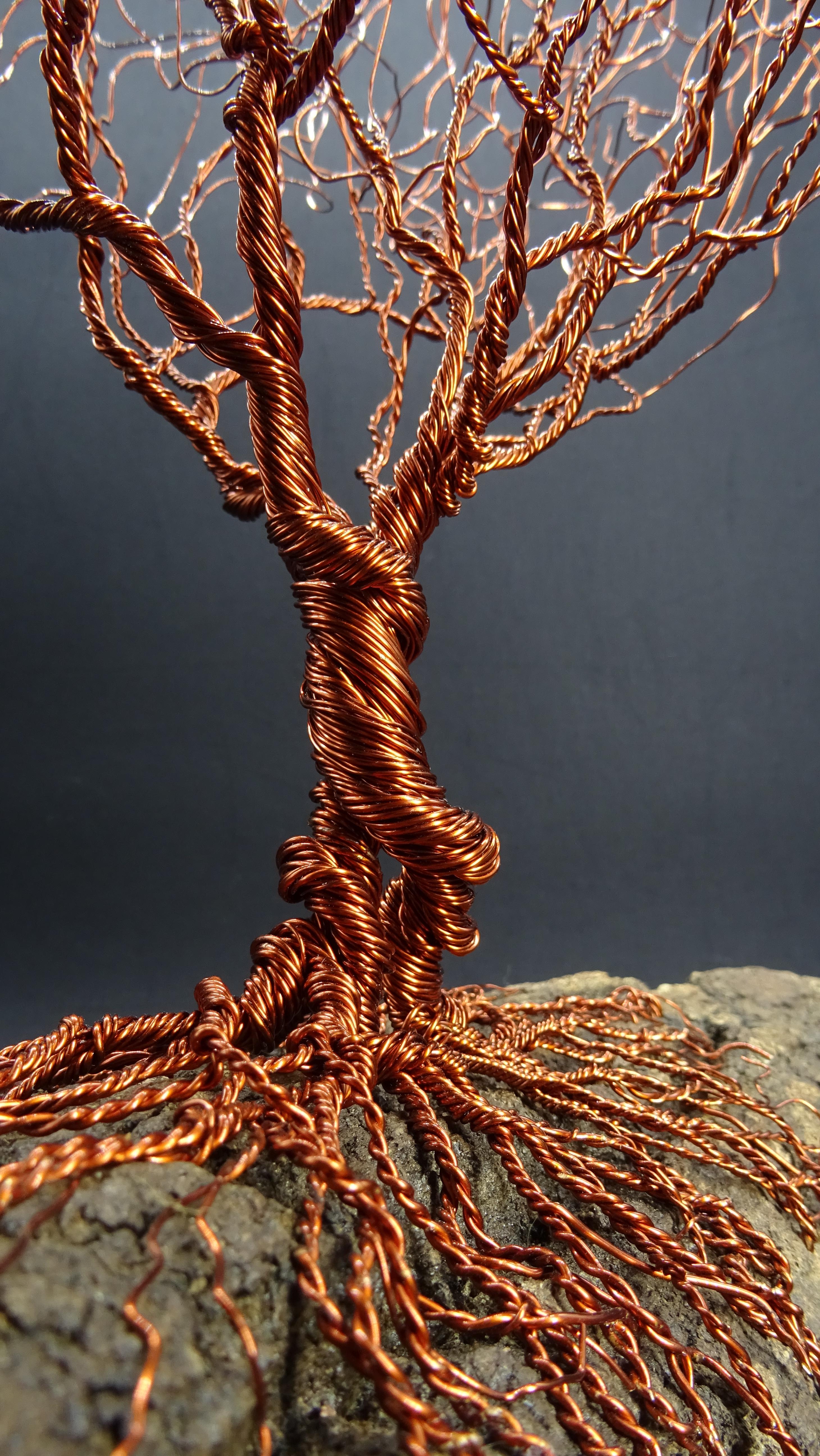 Le Bonsaï en cuivre épineux s'inspire des arbres déplacés par un vent fort.
Les matériaux sont le bois et les métaux, représentant à la fois la force de la vie et les racines de Mère Nature.
Les sculptures sont composées de fils qui