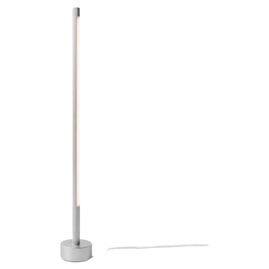 Aluminum Palo Floor Lamp by Wentz