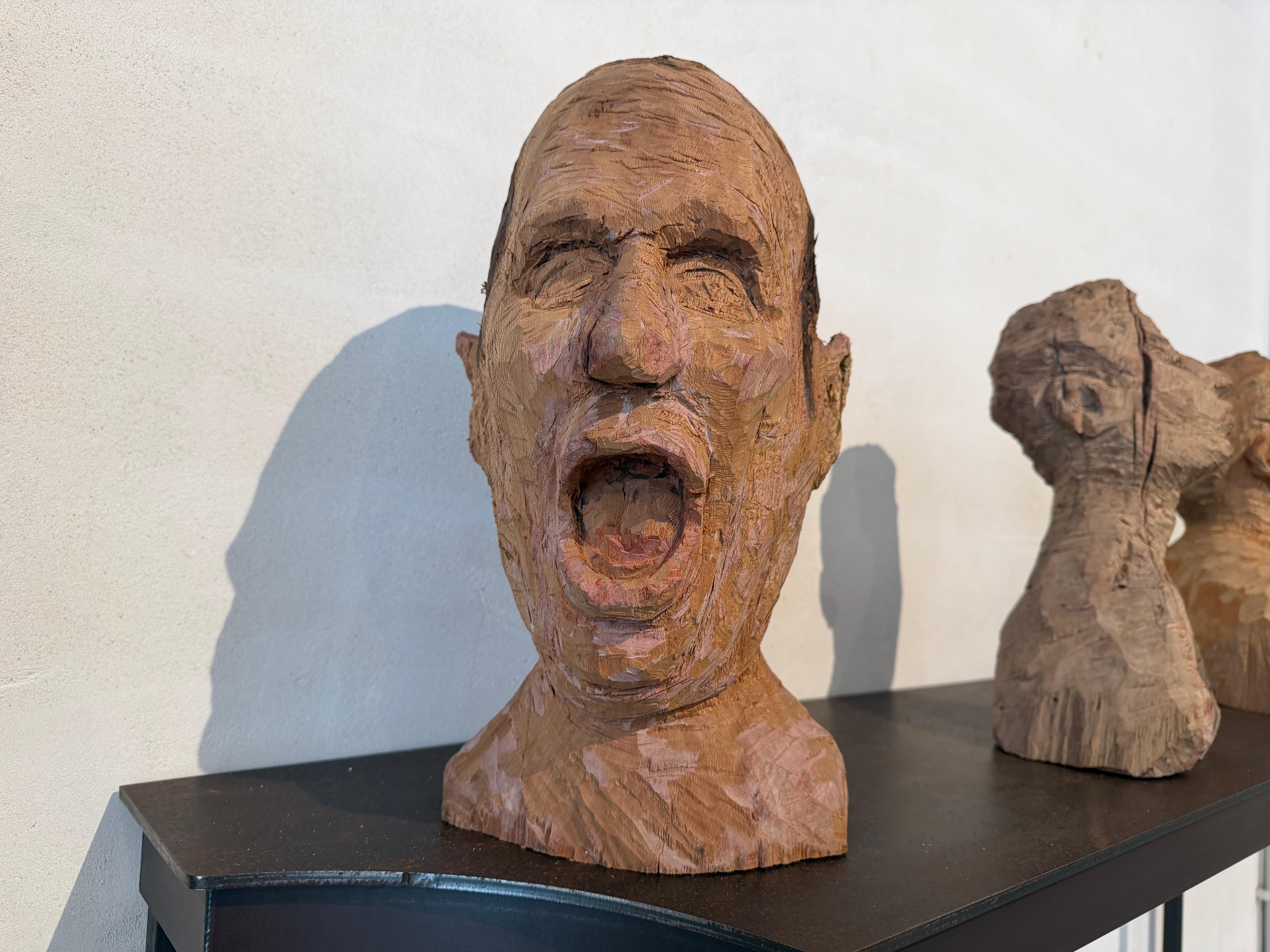 Sculpture en bois de bananier sculpté, buste expressionniste, visage étonné. - Marron Still-Life Sculpture par Alvaro de la Vega