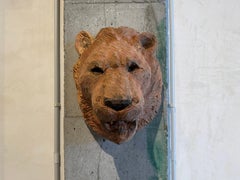 Wall sculpture, hand-carved lion, eucalyptus and chainsaw, natural wood