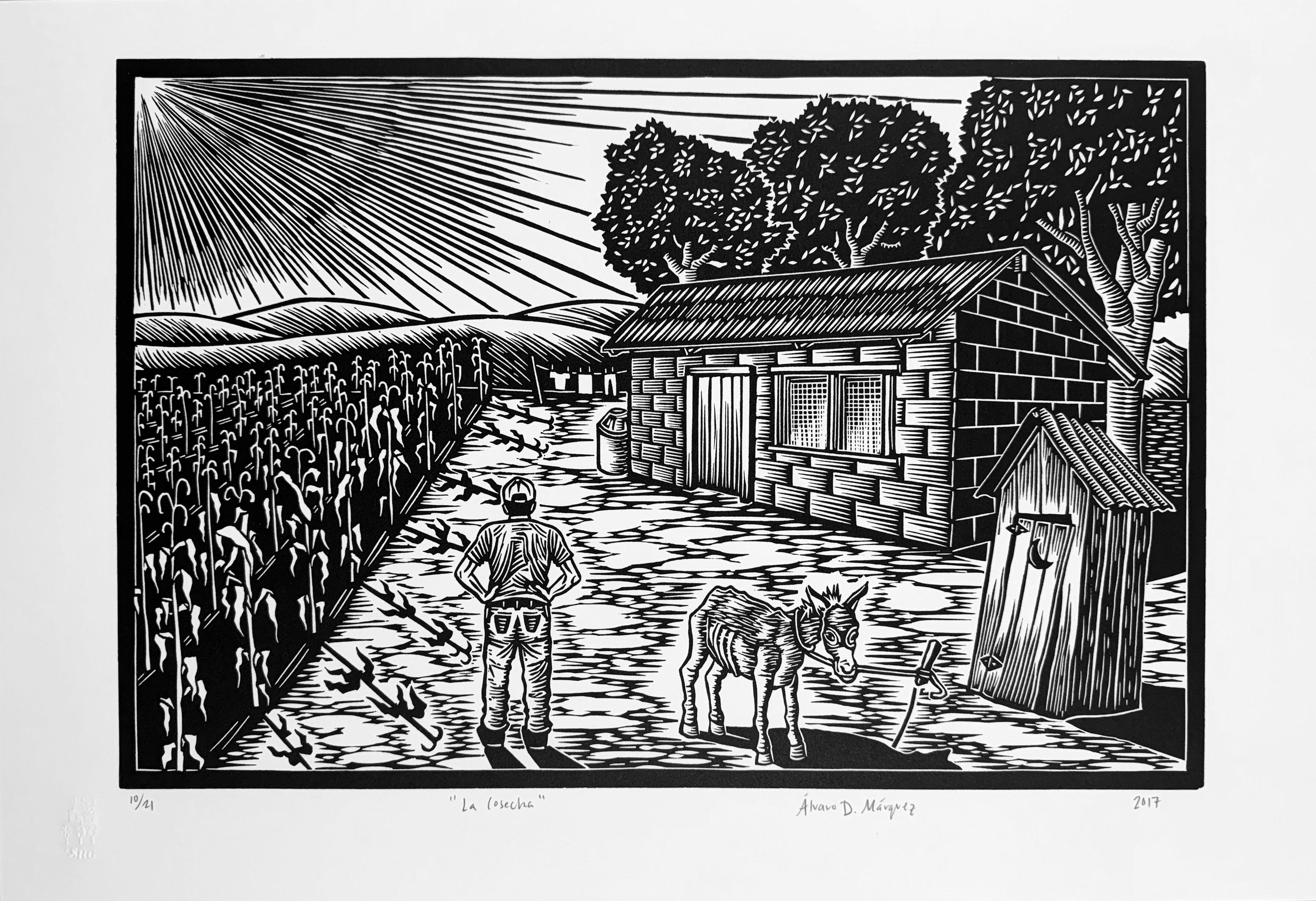 La Cosecha - Print de Alvaro Marquez
