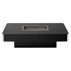Alveo Coffee Table, Willy Rizzo, Mario Sabot