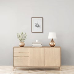 Stagione finale  1064