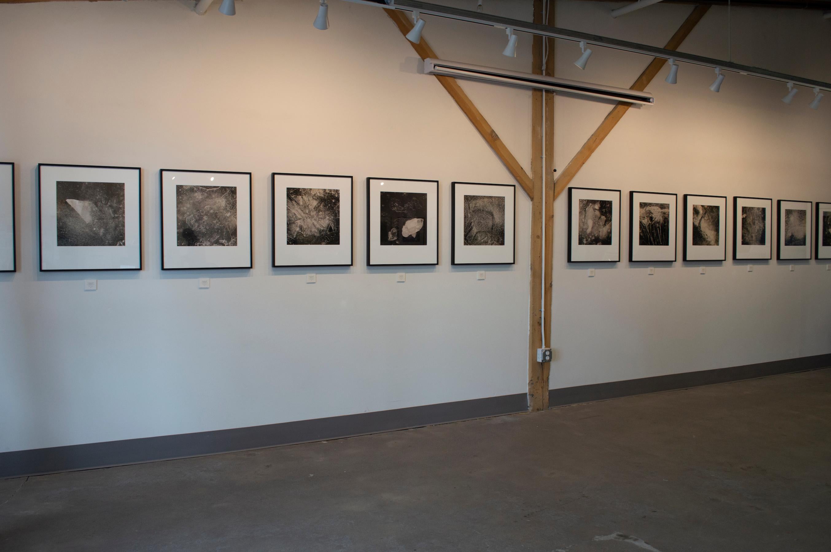 La série de photographies en noir et blanc « Ice Portals » d'Alyson Belcher dépeint un hiver exceptionnellement froid dans le Nord-Ouest.  Ces photographies sont des enregistrements des formations de glace uniques que l'artiste a découvertes lors de