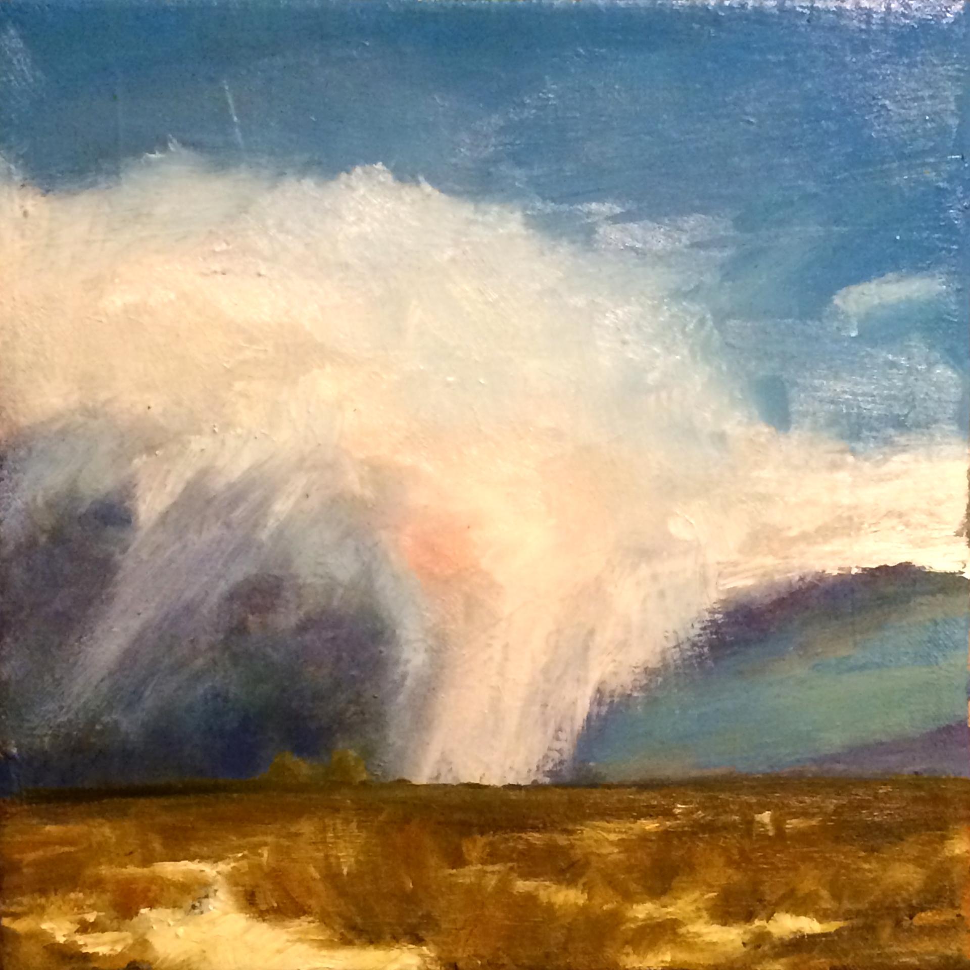Vase, Étude de nuages de neige enflammés - Painting de Alyson Kinkade
