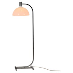AM/AS Floor Lamp designed by Franco Albini & Franca Helg for Sirrah. Italy 1969