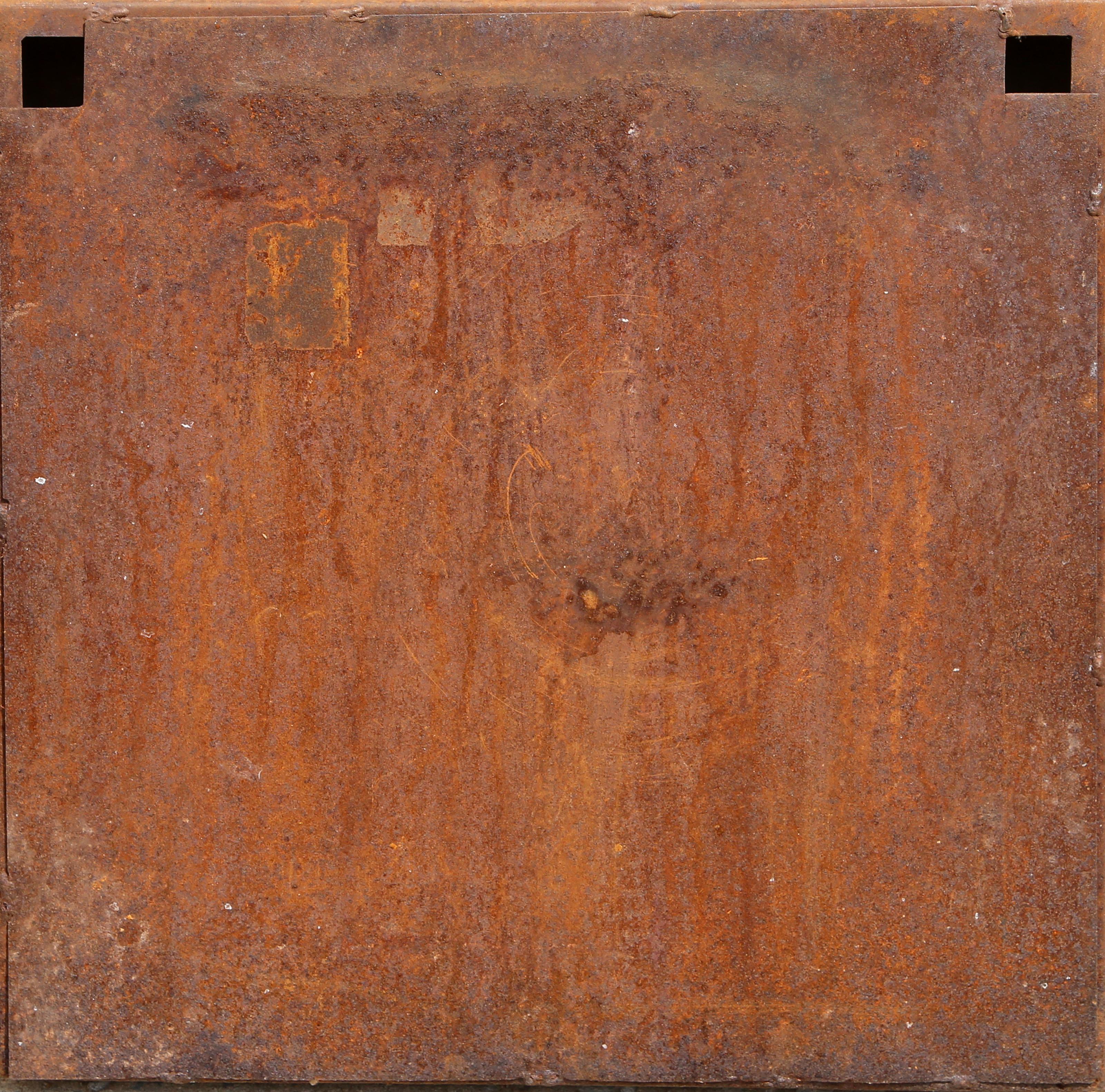 Armadura Terrestre, Escultura de Aluminio y Acero Oxidado de Amadeo Gabino en venta 3