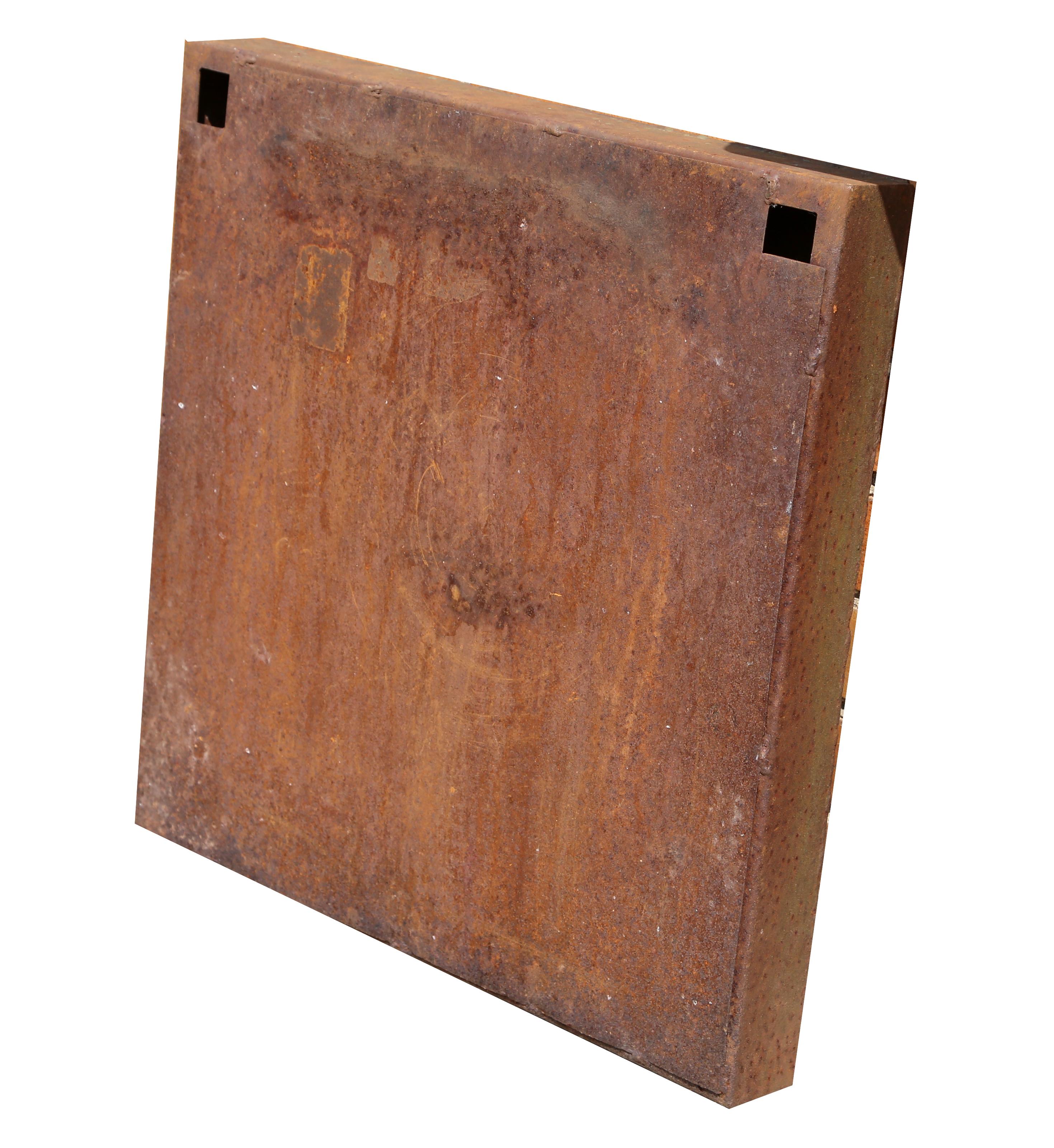 Armadura Terrestre, Escultura de Aluminio y Acero Oxidado de Amadeo Gabino en venta 5