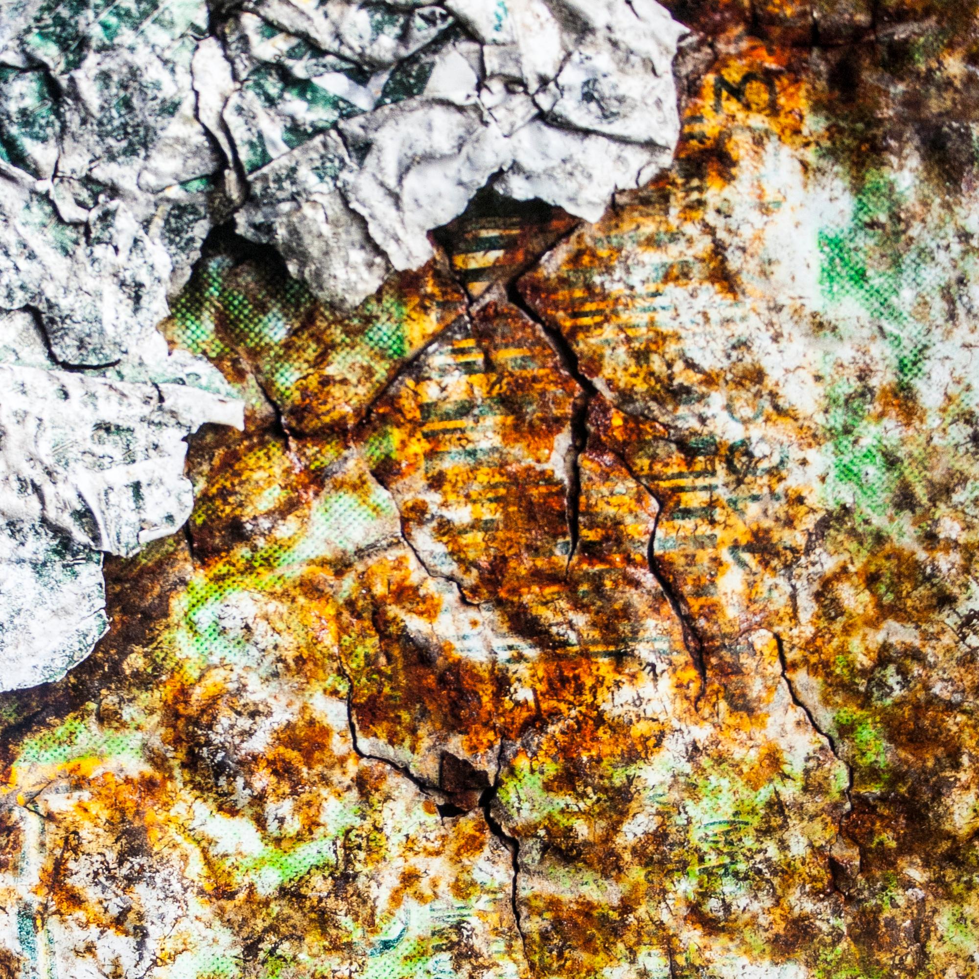 Laqué La photographieCAN d' Amador Toril, Espagne, 2020. en vente