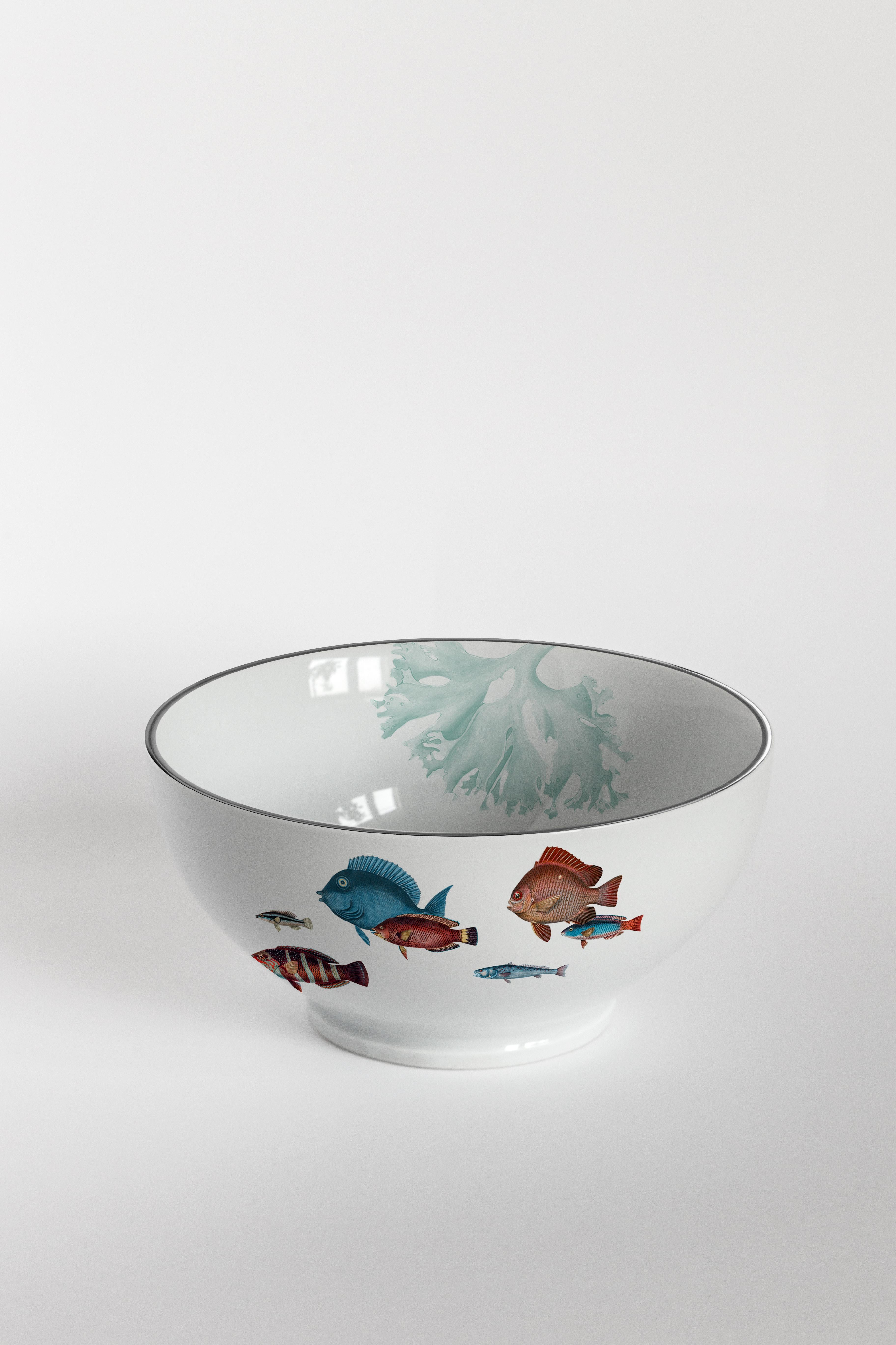 Inspired by the coral reef of the Amami Islands in Japan, the Amami collection features tropical fishes and beautiful seaweed. A perfect choice for every spot near the seaside.
6 bowls.