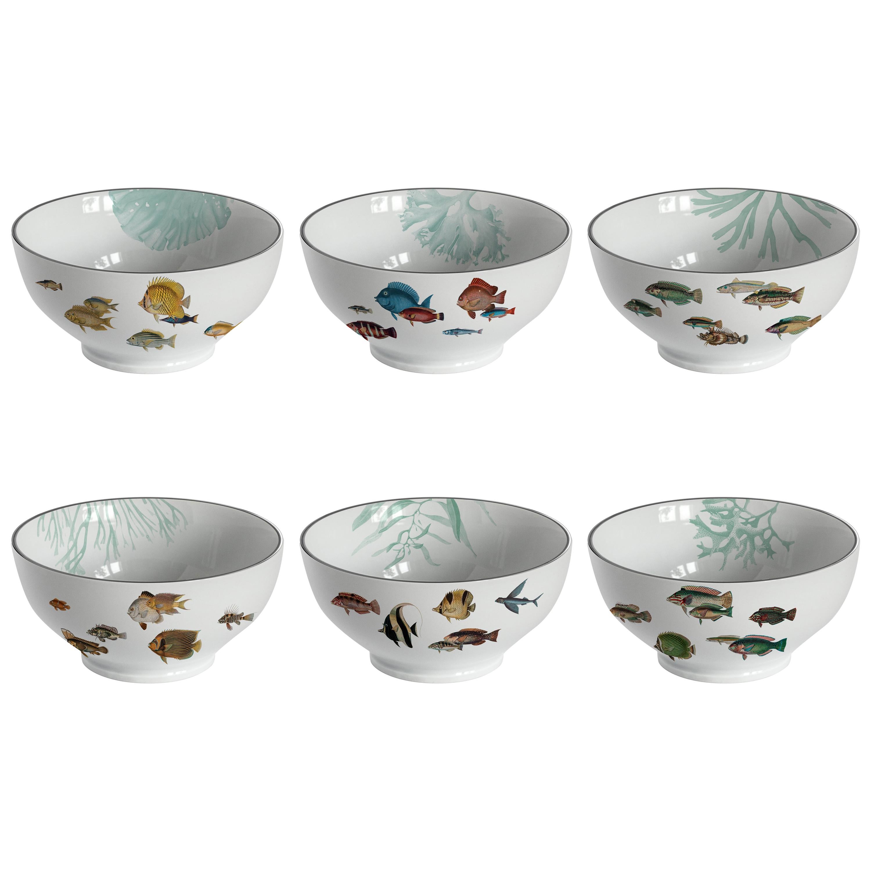 Amami, Six Contemporary Porcelain Bowls with Decorative Design