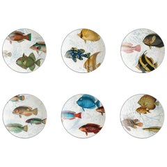 Amami, Six Contemporary Porcelain Bread Plates with Decorative Design