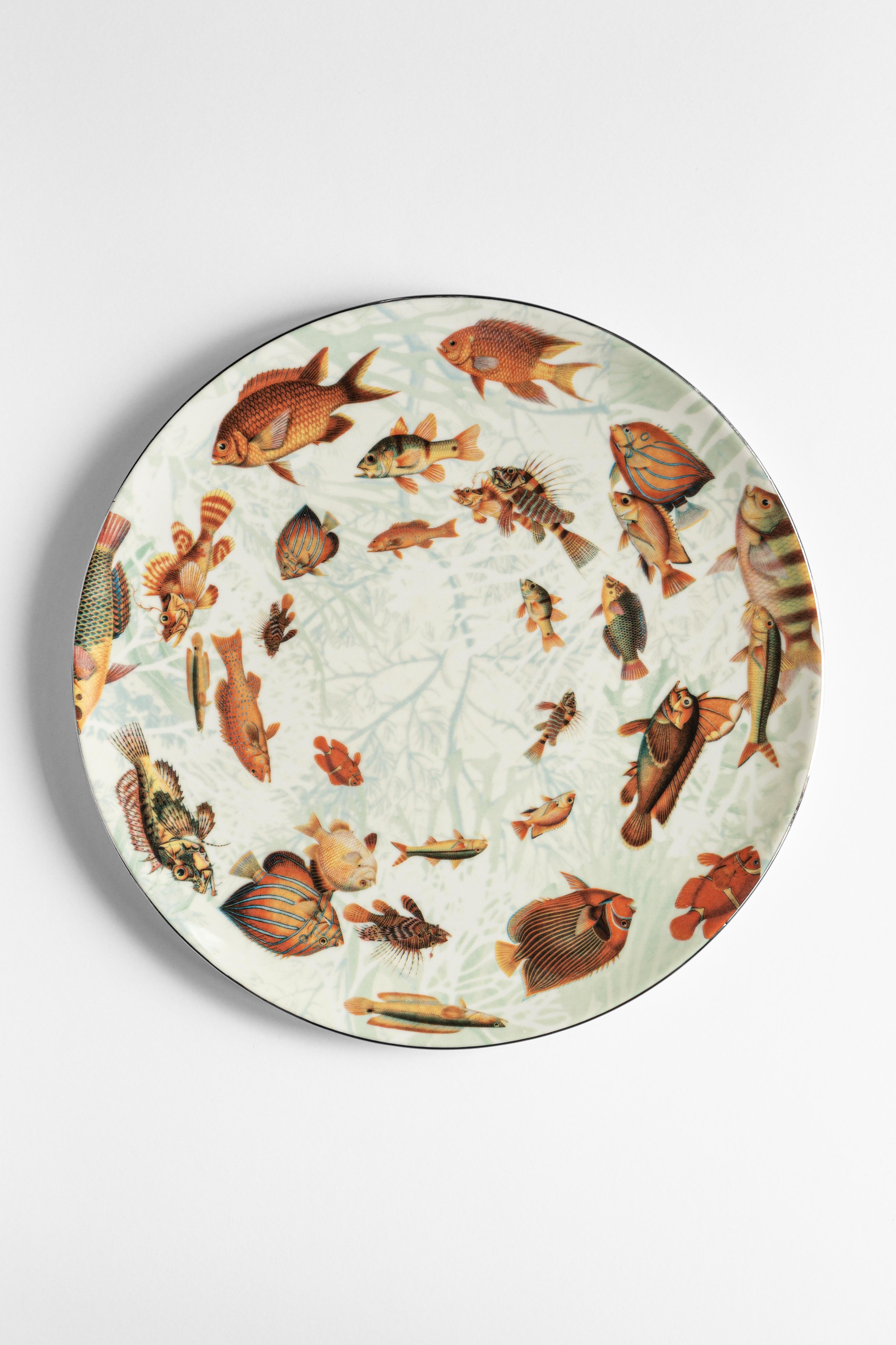 Amami:: six assiettes plates contemporaines en porcelaine avec motif décoratif en vente 1