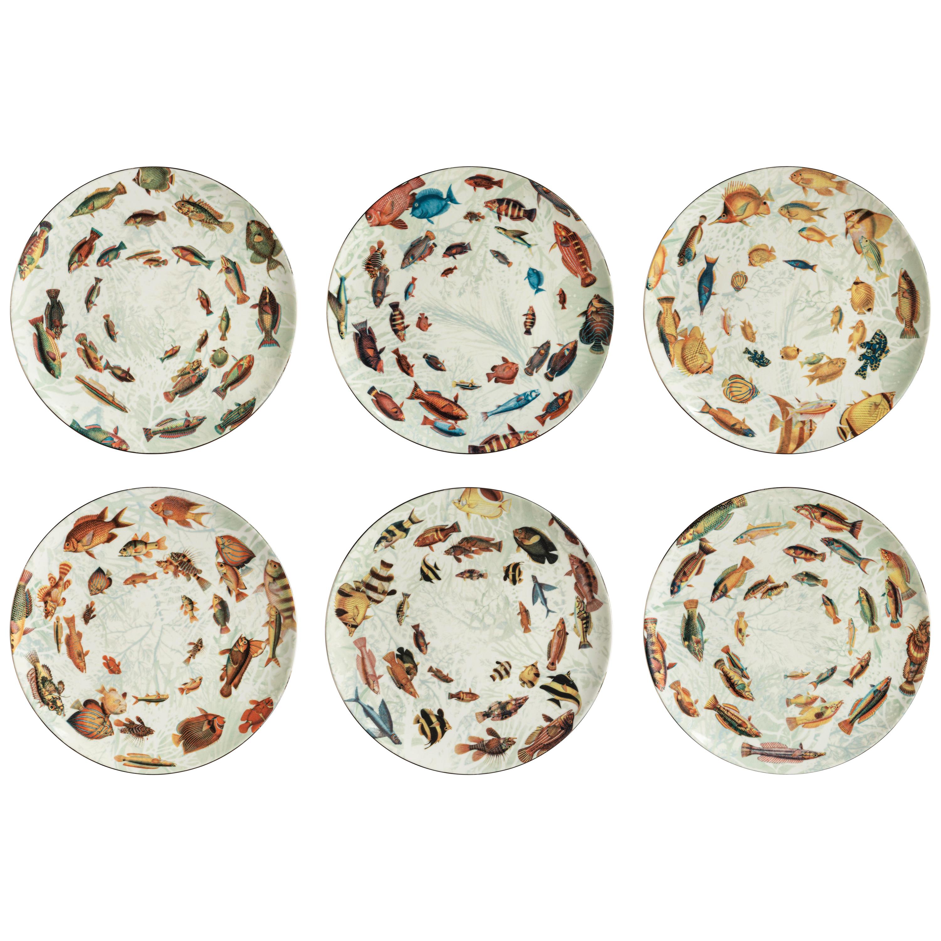 Amami, Seis Platos de Vajilla de Porcelana Contemporánea con Diseño Decorativo en venta