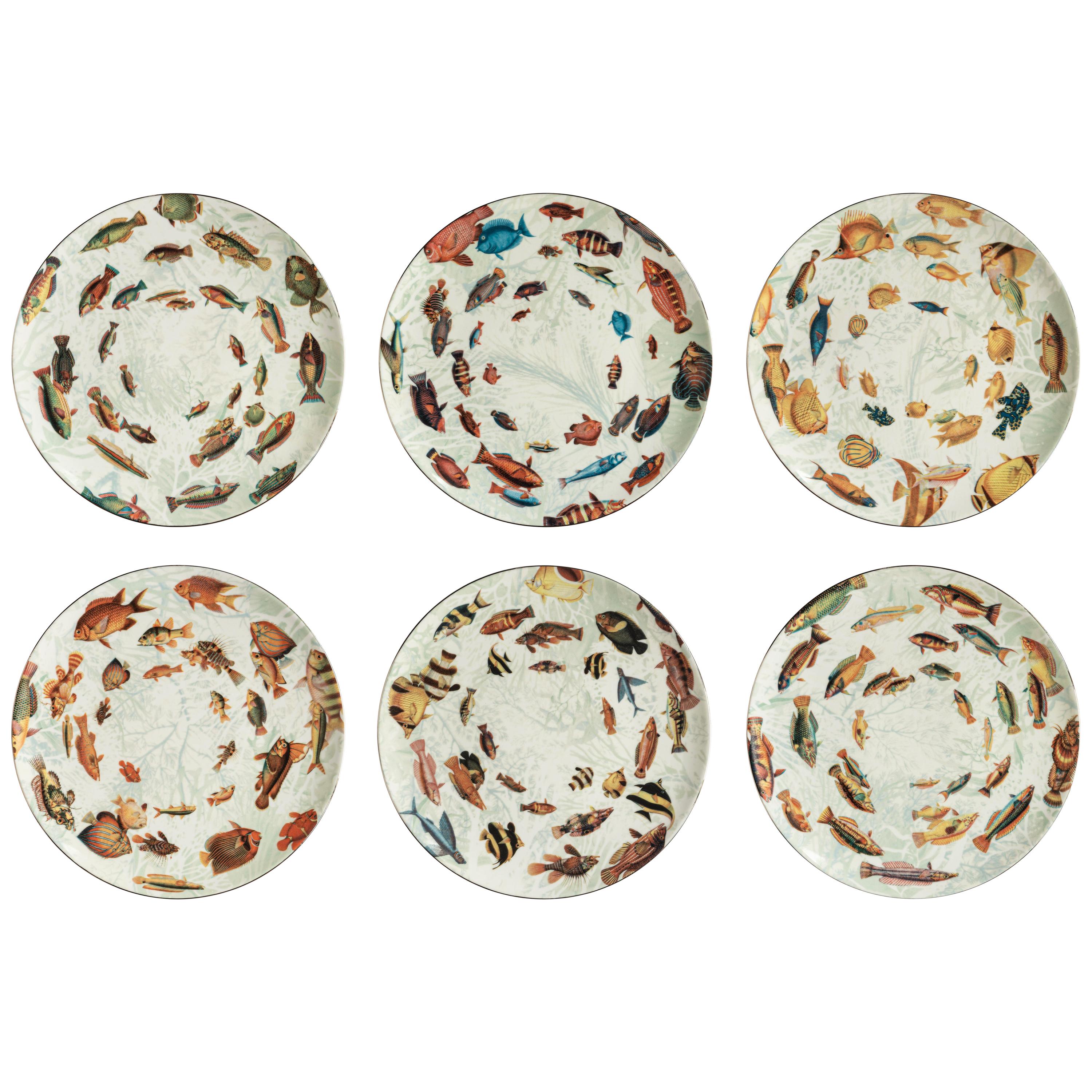 Amami, Six Contemporary Porcelain Dinner Plates with Decorative Design For Sale