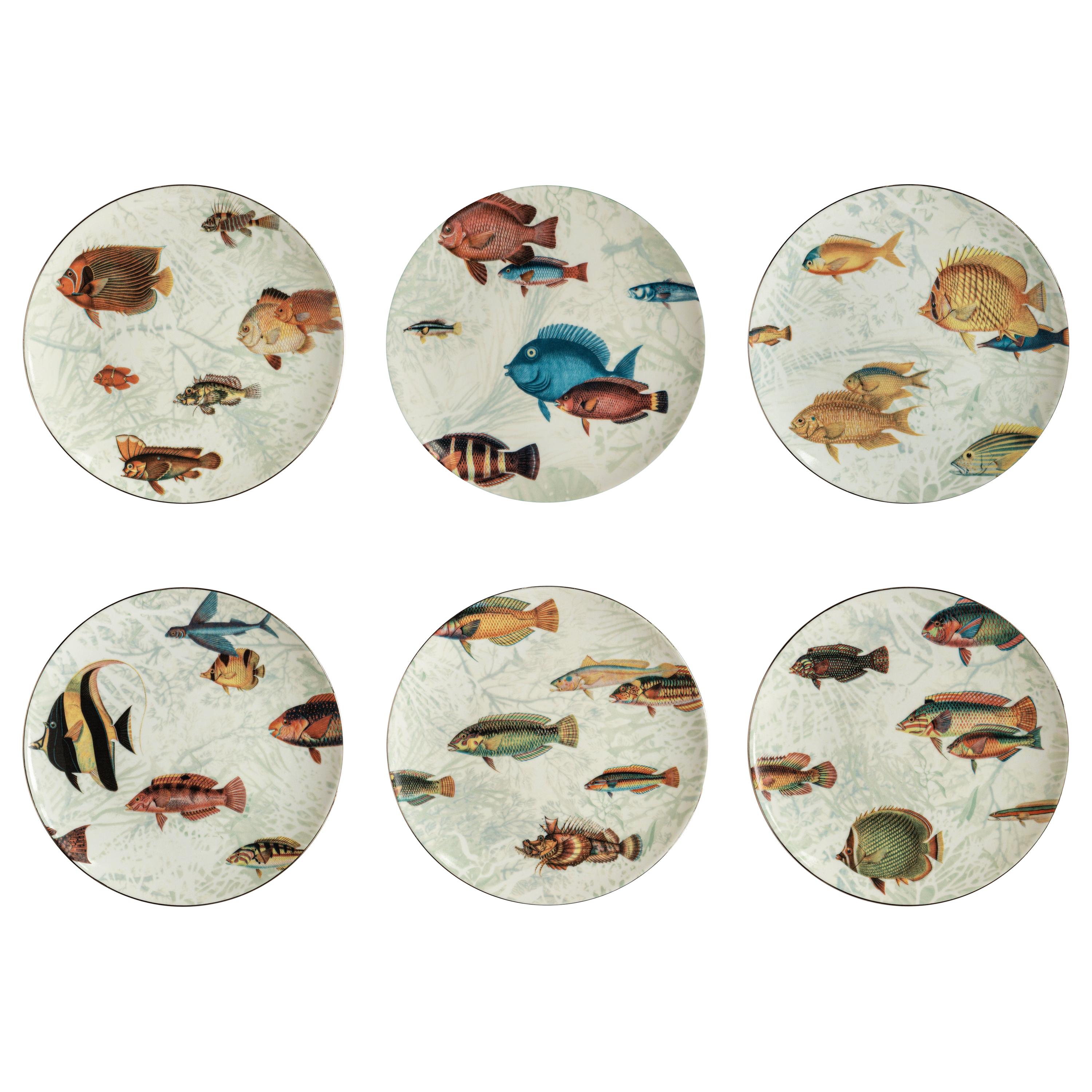 Amami, Six Contemporary Porcelain Dessert Plates with Decorative Design For Sale