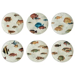 Amami, Six Contemporary Porcelain Dessert Plates with Decorative Design