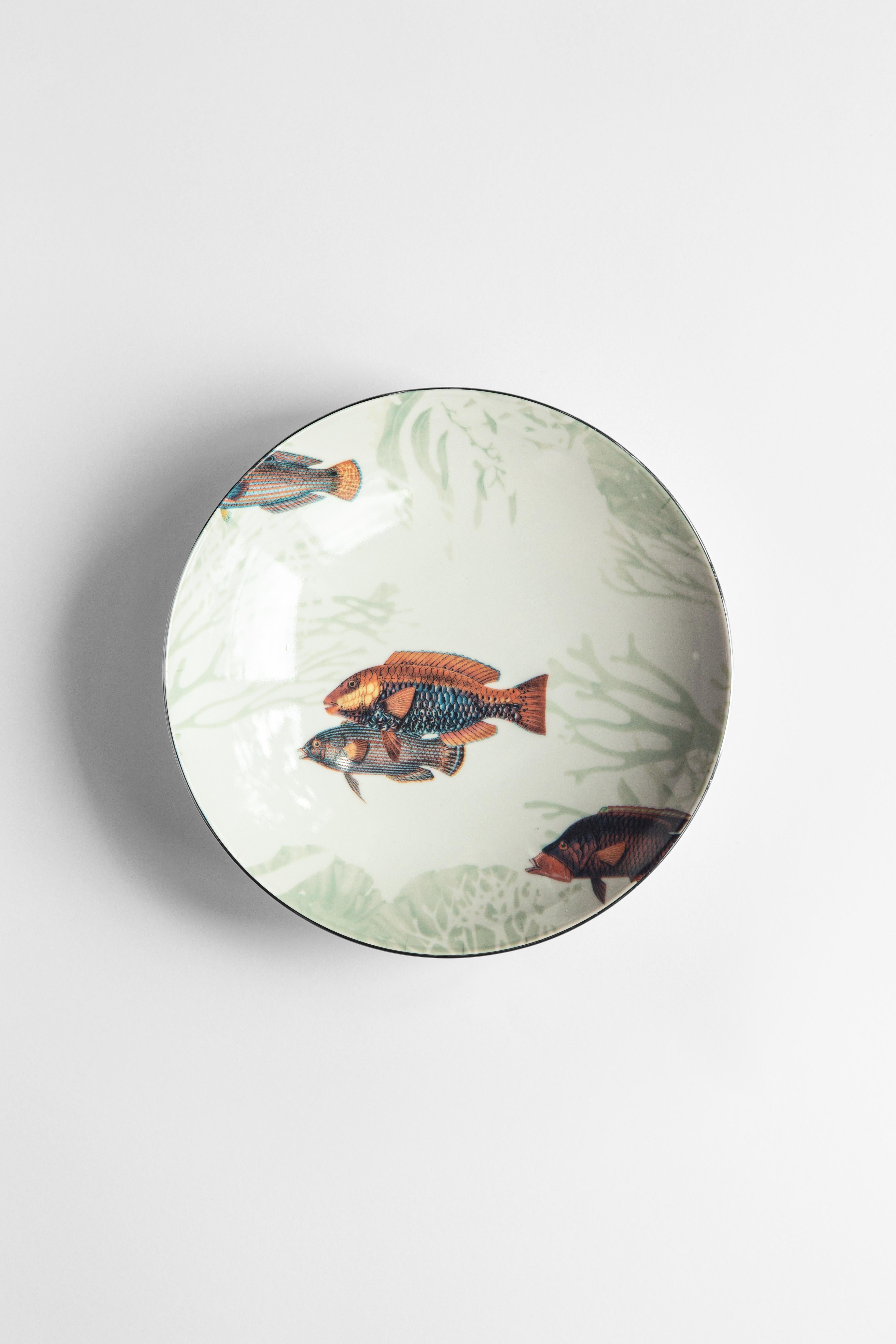 Inspired by the coral reef of the Amami Islands in Japan, the Amami collection features tropical fishes and beautiful seaweed. A perfect choice for every spot near the seaside.
6 Soup plates.