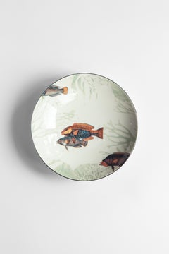 Amami, Six Contemporary Porcelain Soup Plates with Decorative Design