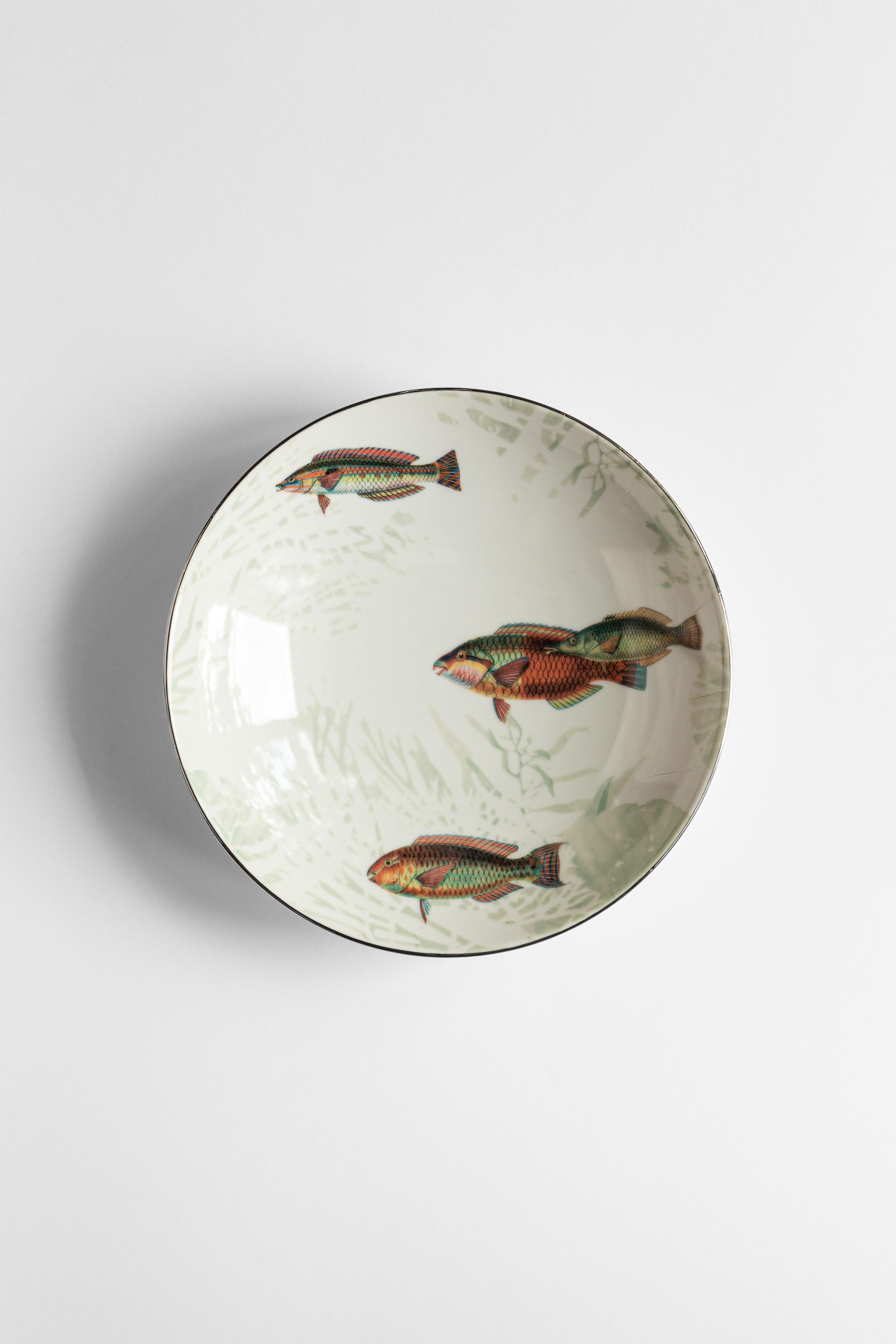 Amami, Six Contemporary Porcelain Soup Plates with Decorative Design In New Condition For Sale In Milano, Lombardia