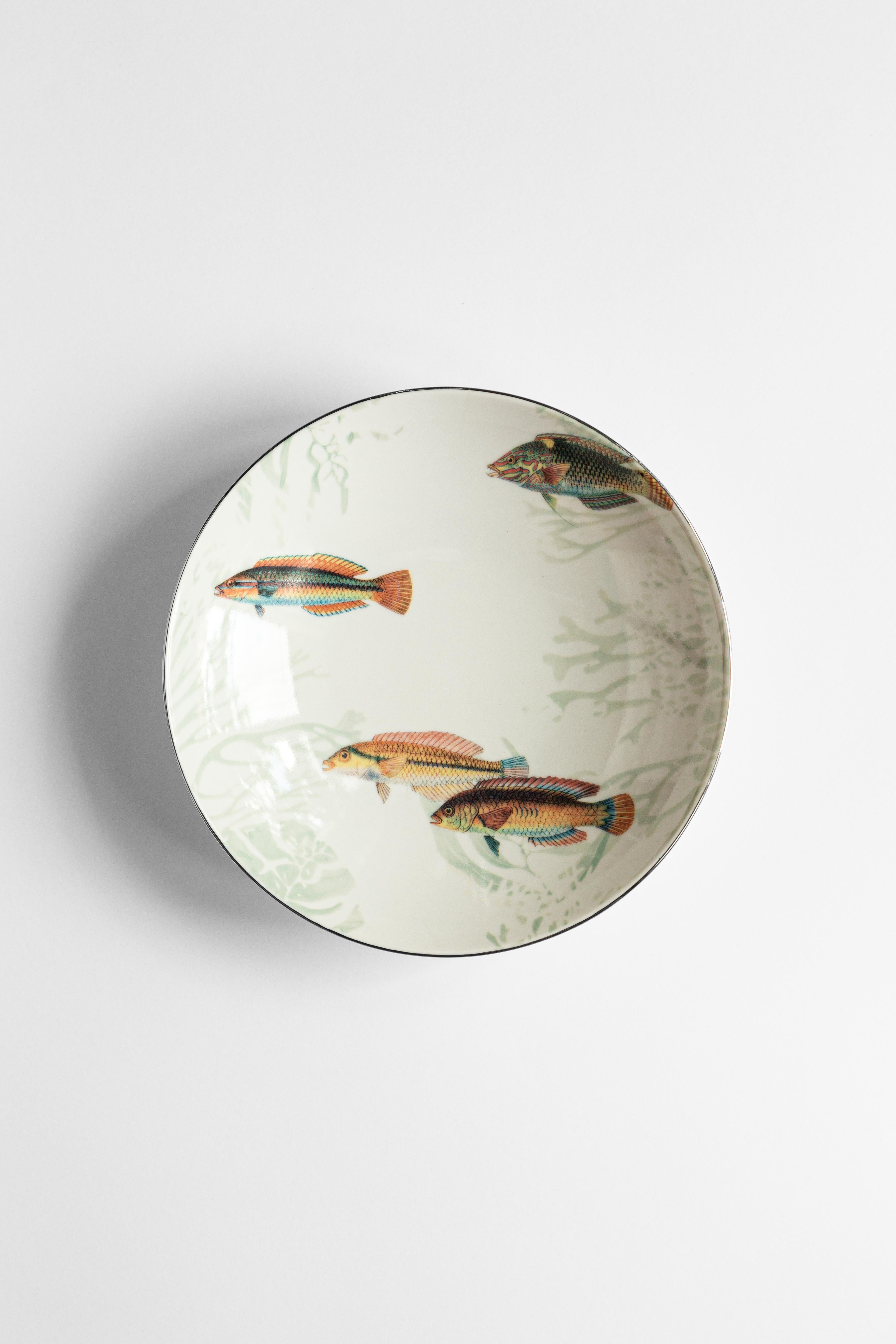 Porcelaine Amami:: six assiettes creuses contemporaines en porcelaine avec motif décoratif en vente