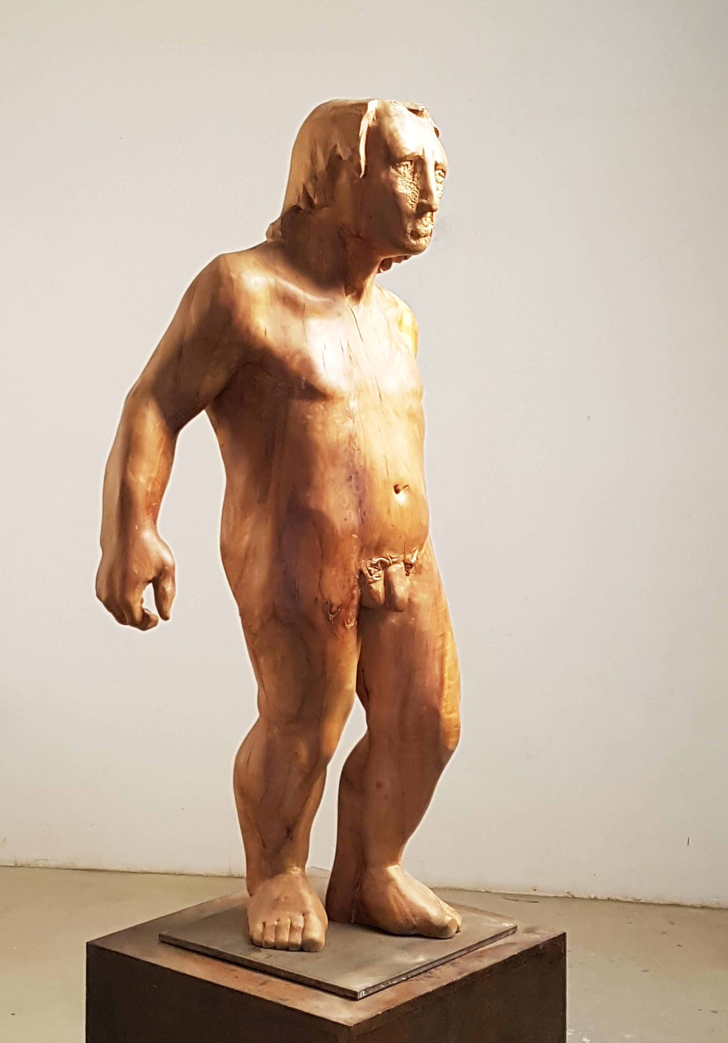 Amancio   Man  Perseo  wood  original  sculpture - Contemporary Sculpture by Amancio González Andrés