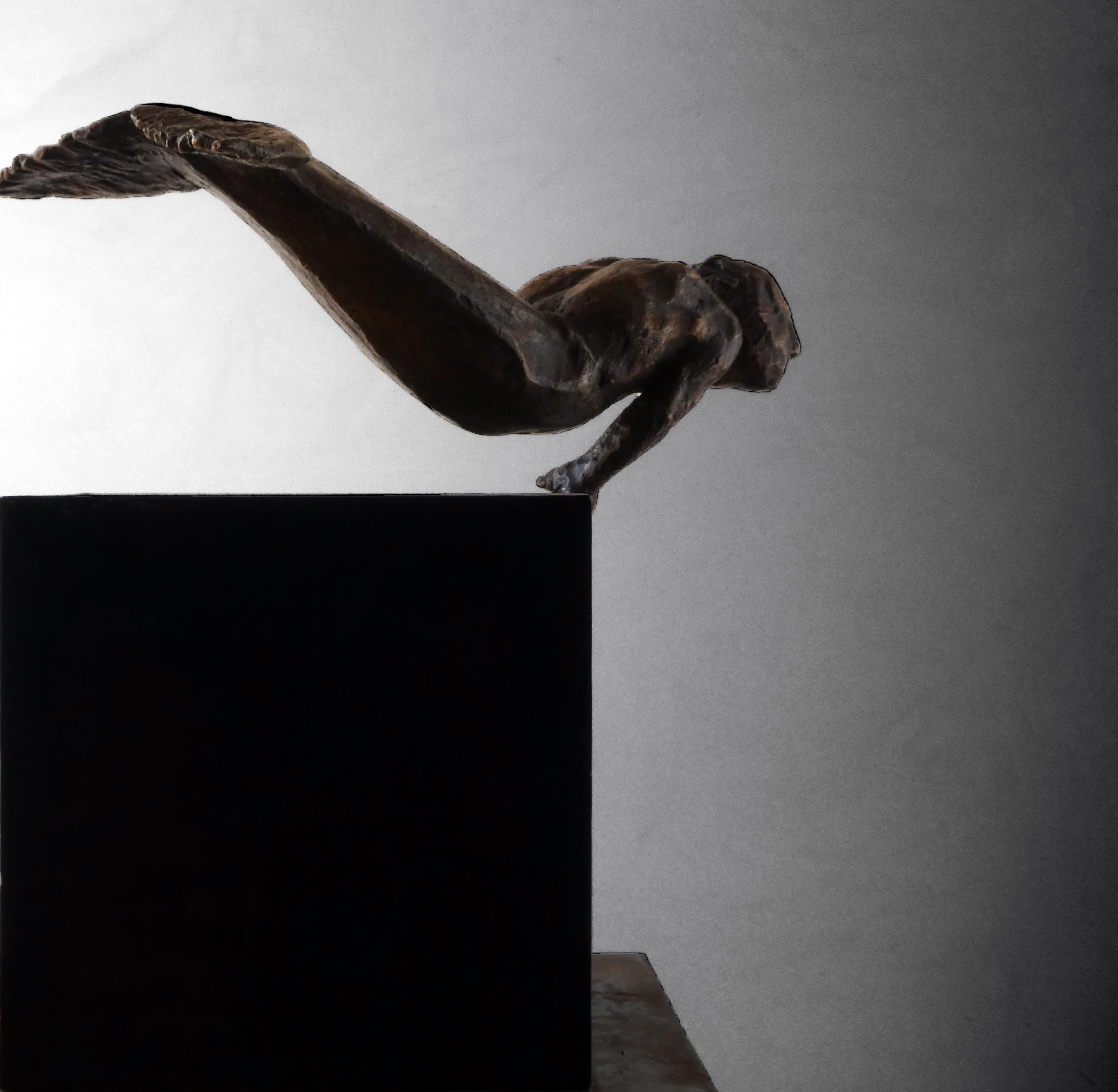 Amancio   Man  Fish Ladron de perlas III