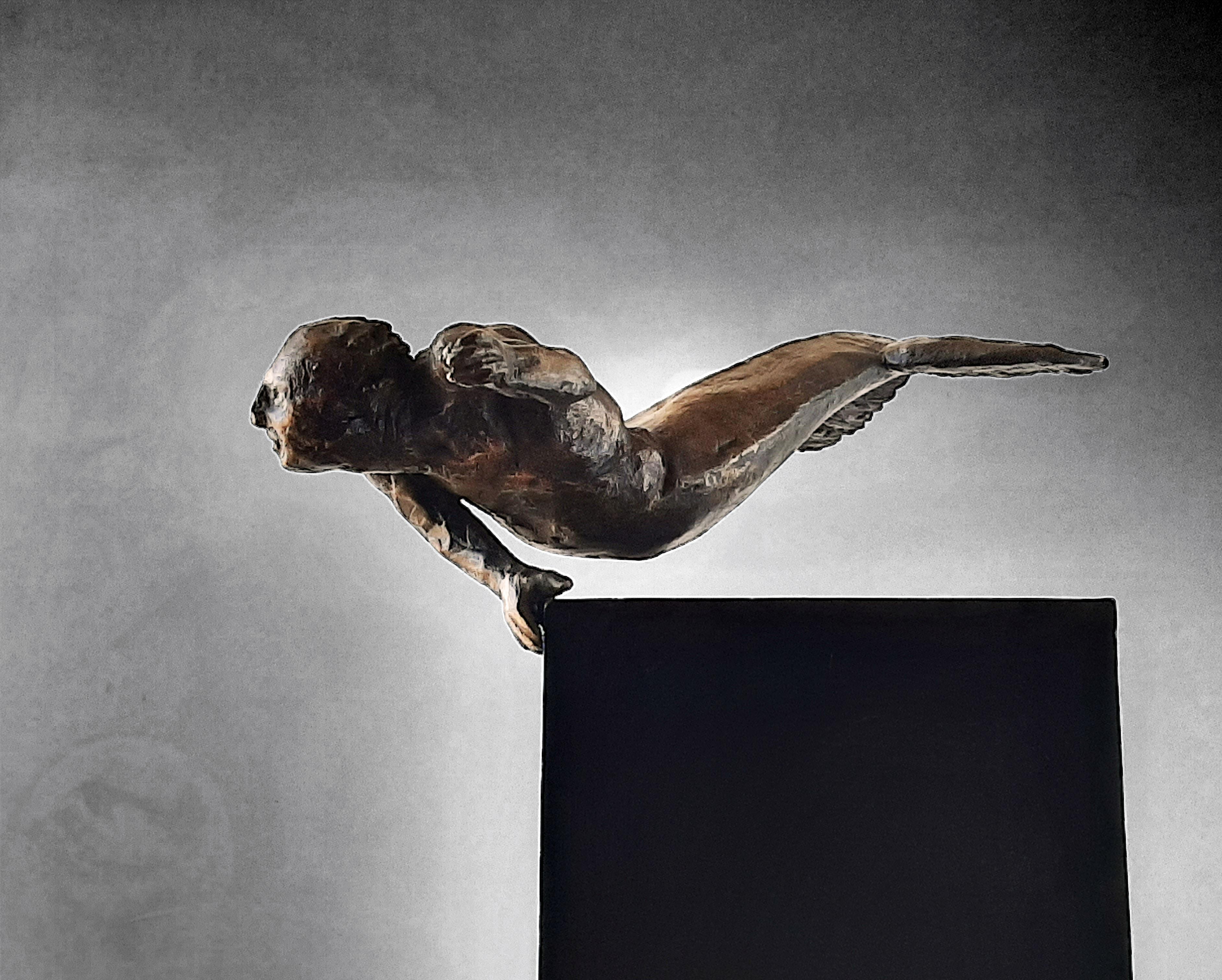Sculpture by the Spanish artist AMANCIO GONZALEZ
bronze.
Series limited to 25 copies
Fantastic piece of art representing Spanish sculpture
Very popular artist in Europe and Latin America
AMANCIO Gonzalez ( Leon 1965 )

Amancio González is a sculptor