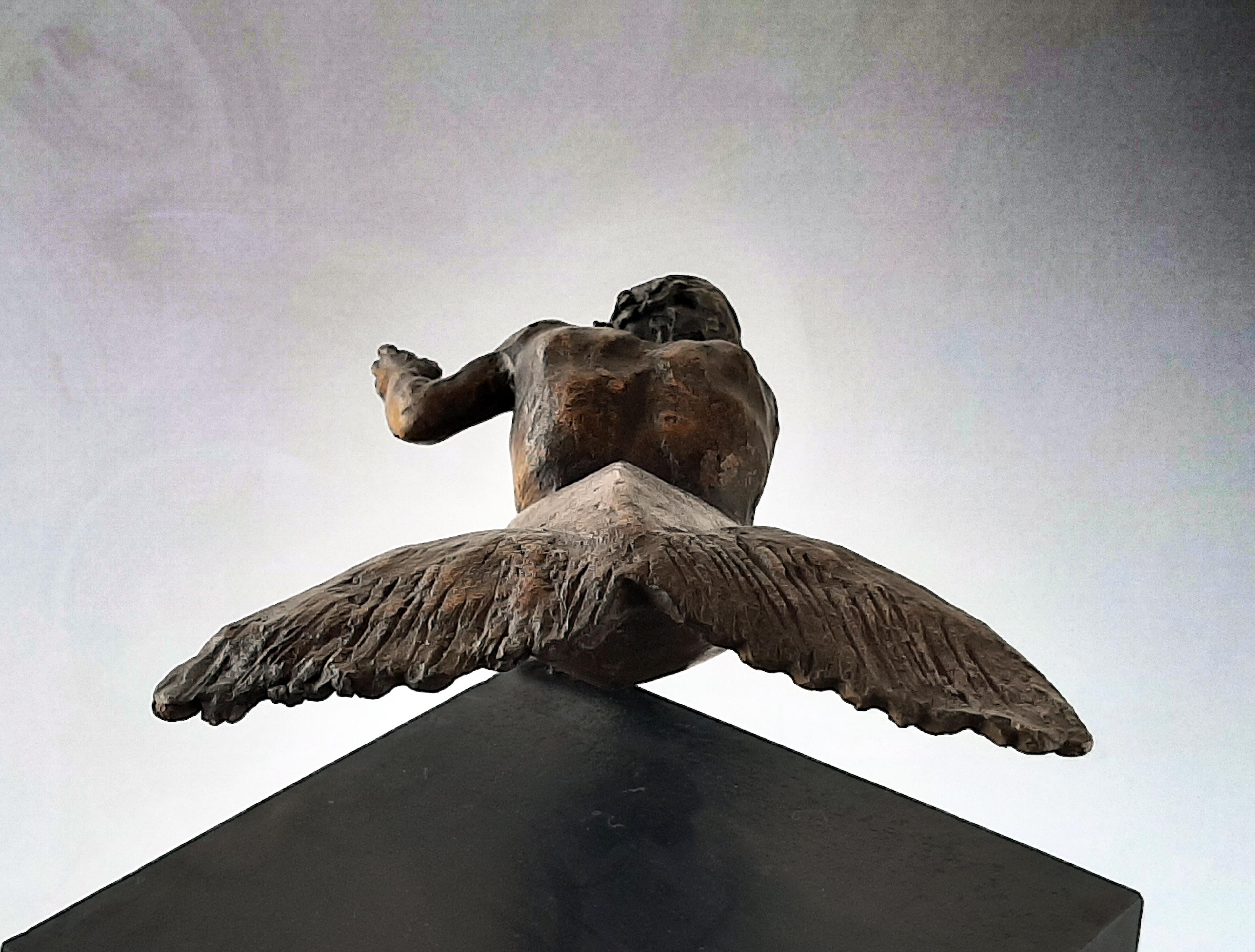 Amancio   Man  Fish Ladron de perlas III