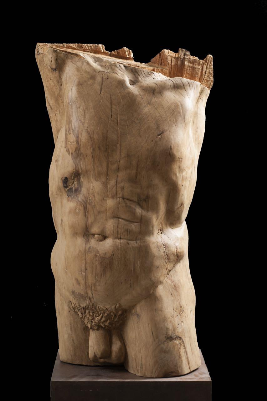 torso 3. original wood sculpture - Contemporary Sculpture by Amancio González Andrés