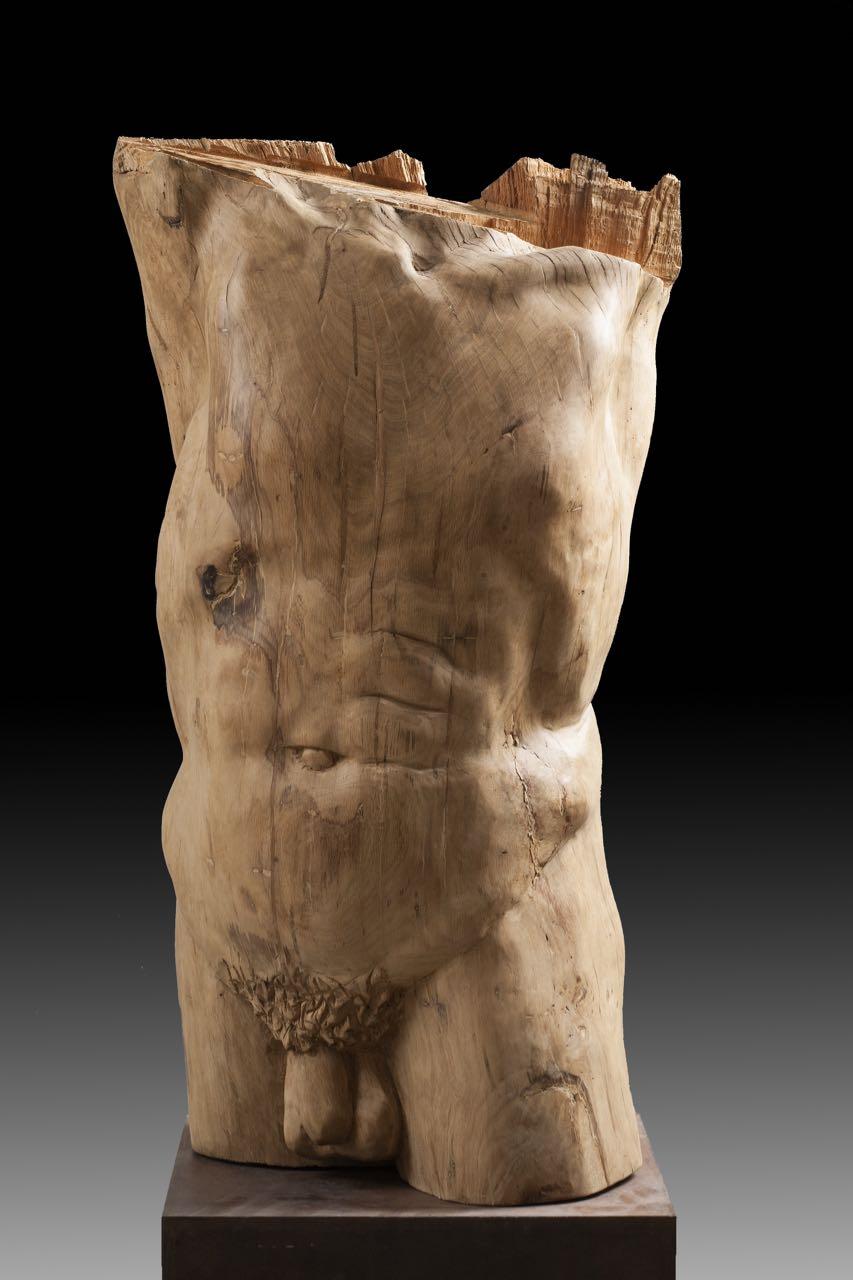 Amancio González Andrés Figurative Sculpture - torso 3. original wood sculpture