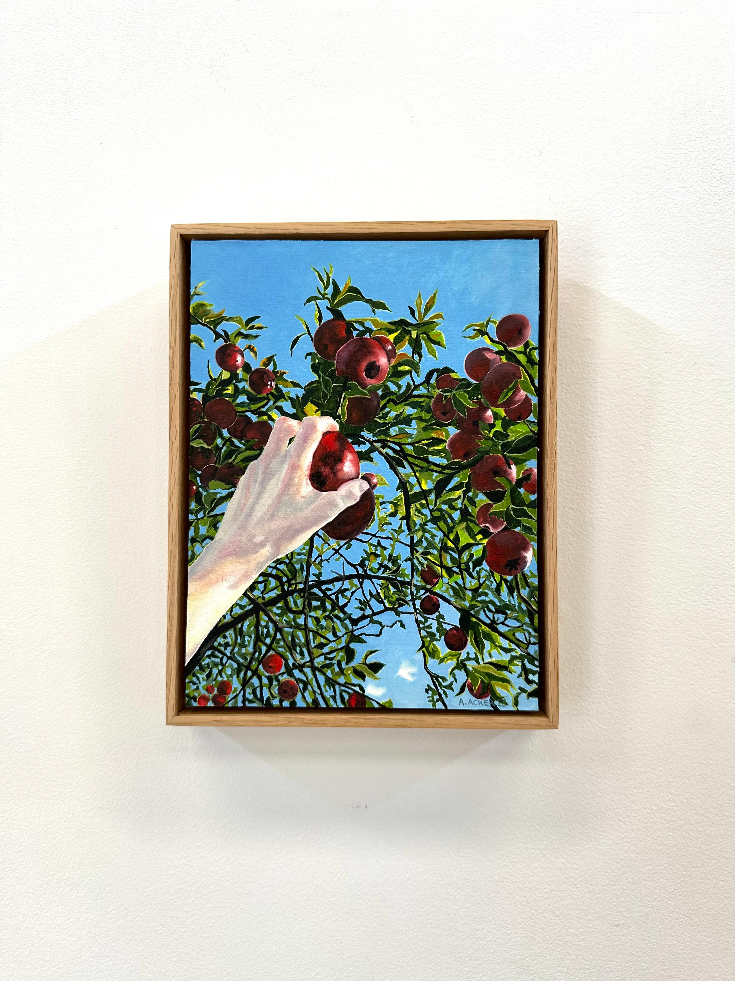 Apple Picking - Contemporary Landscape Red Fruit Green Tree Blue Sky Fall, 2023 - Painting by Amanda Acker