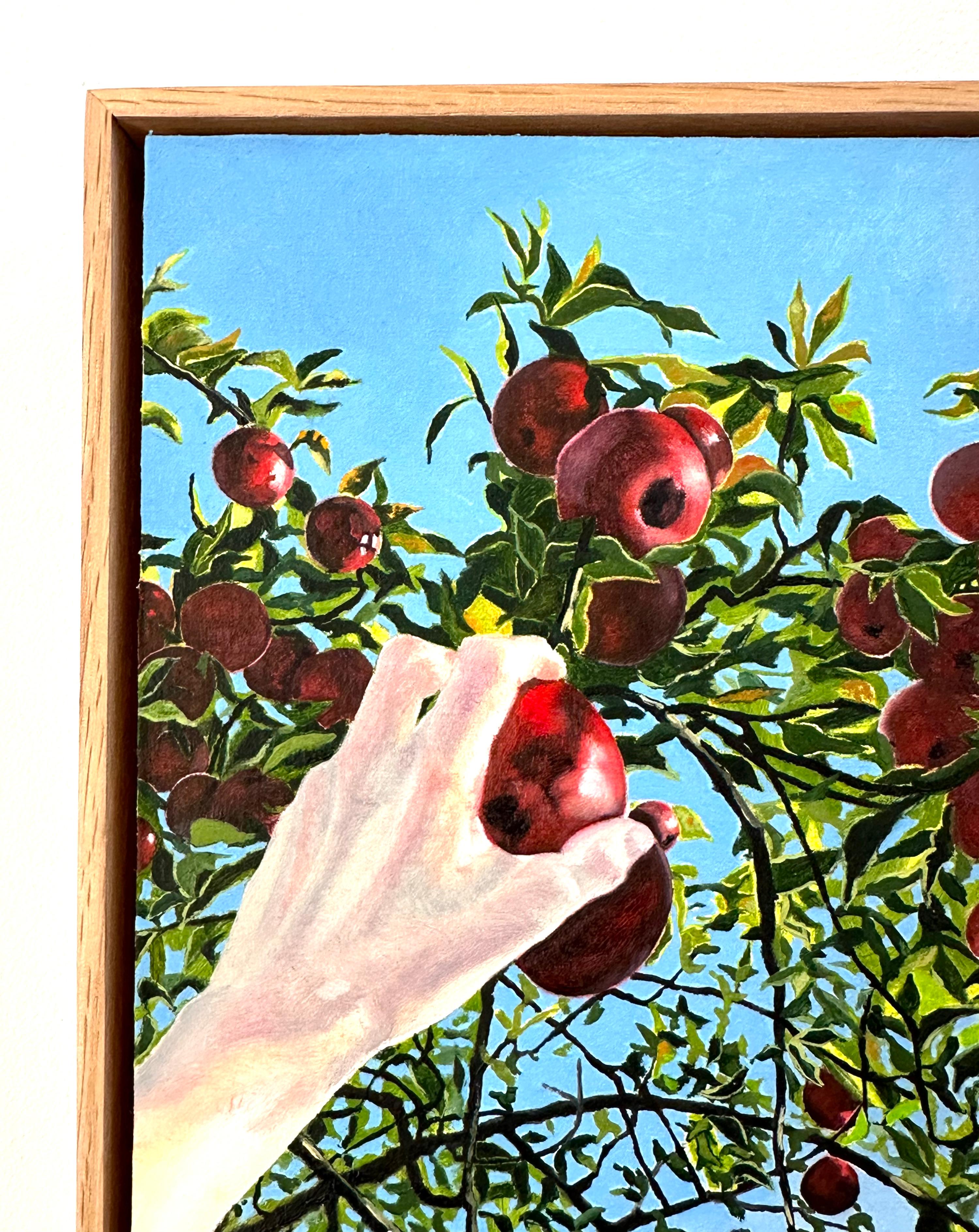 Apple Picking - Contemporary Landscape Red Fruit Green Tree Blue Sky Fall, 2023 1
