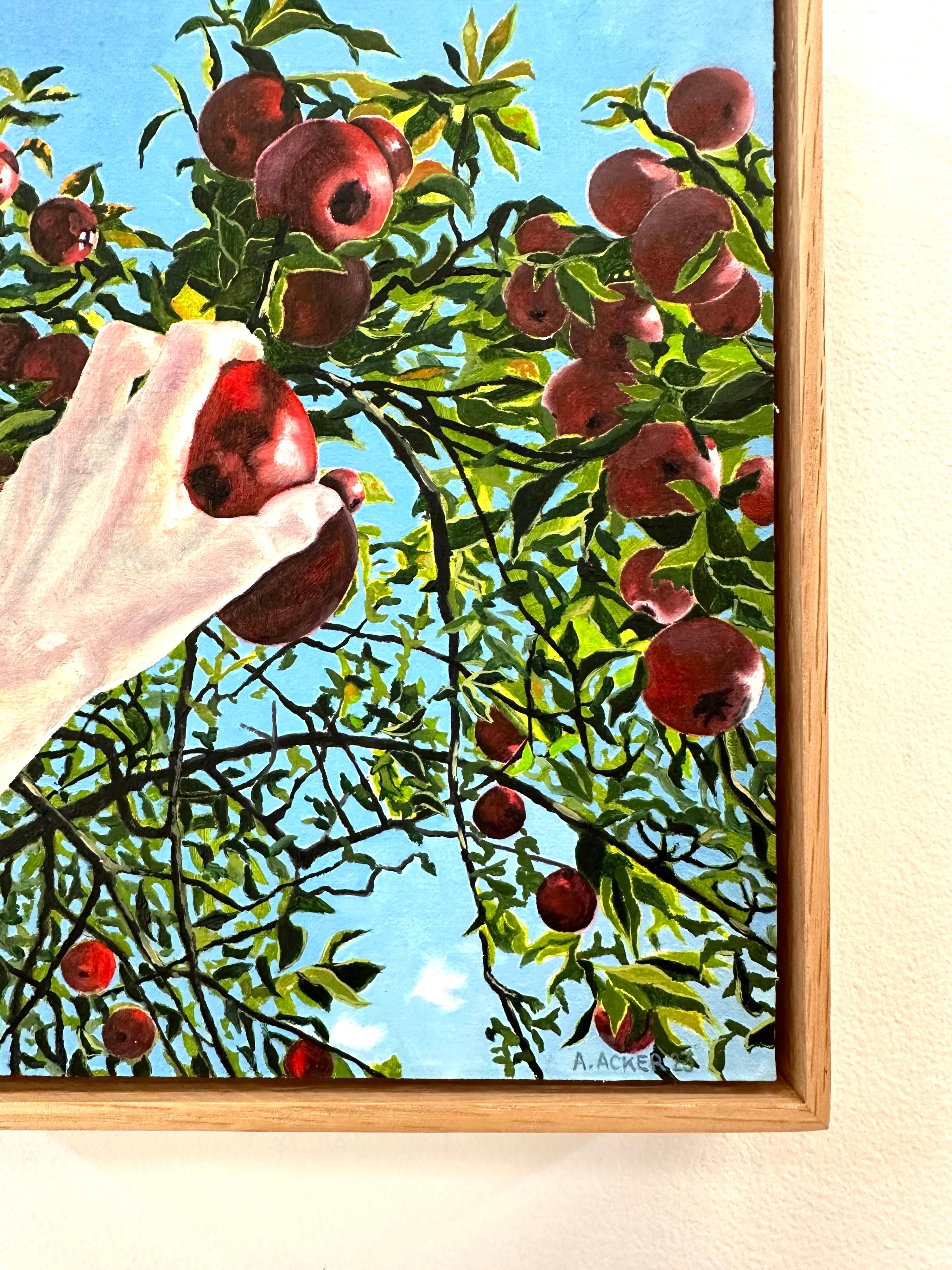 Apple Picking - Contemporary Landscape Red Fruit Green Tree Blue Sky Fall, 2023 5