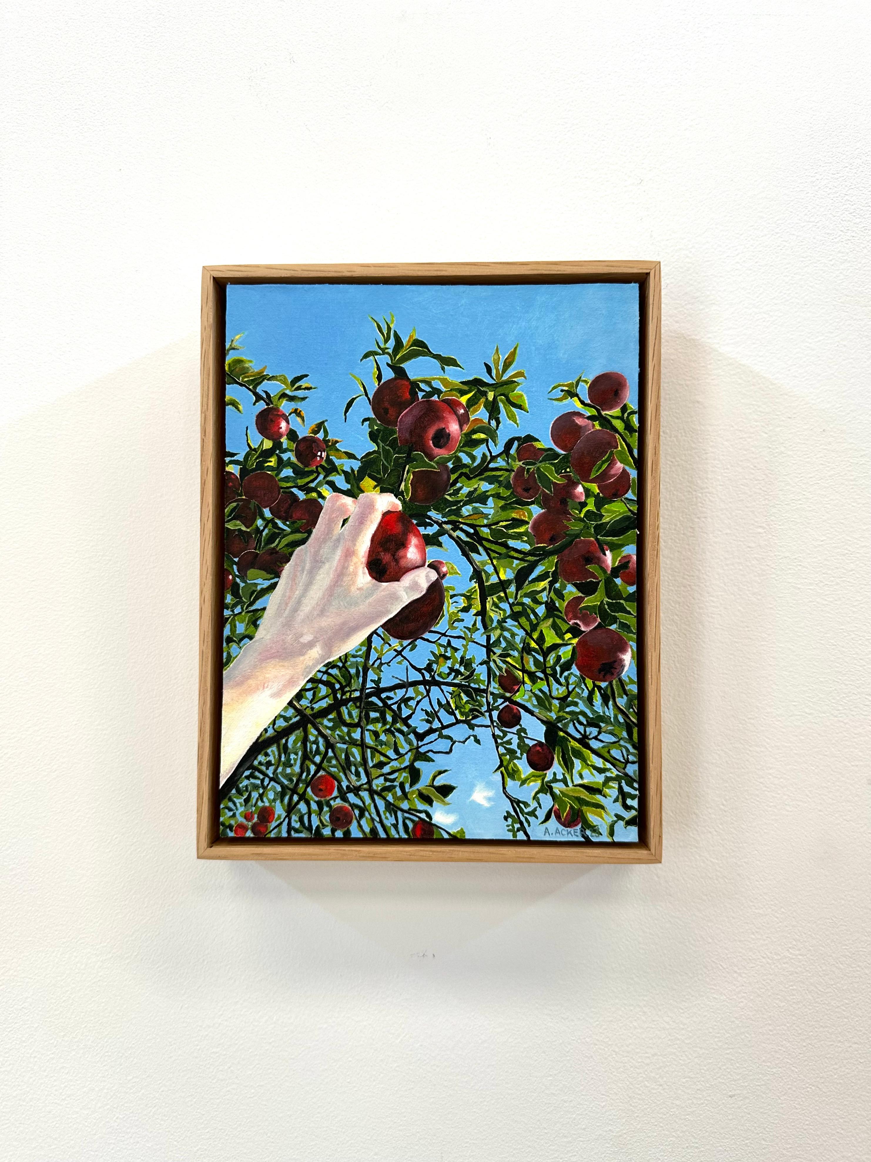 Apple Picking, Hand Reaching for Red Fruit, Green Leaves, Tree, Blue Sky, Fall - Painting by Amanda Acker