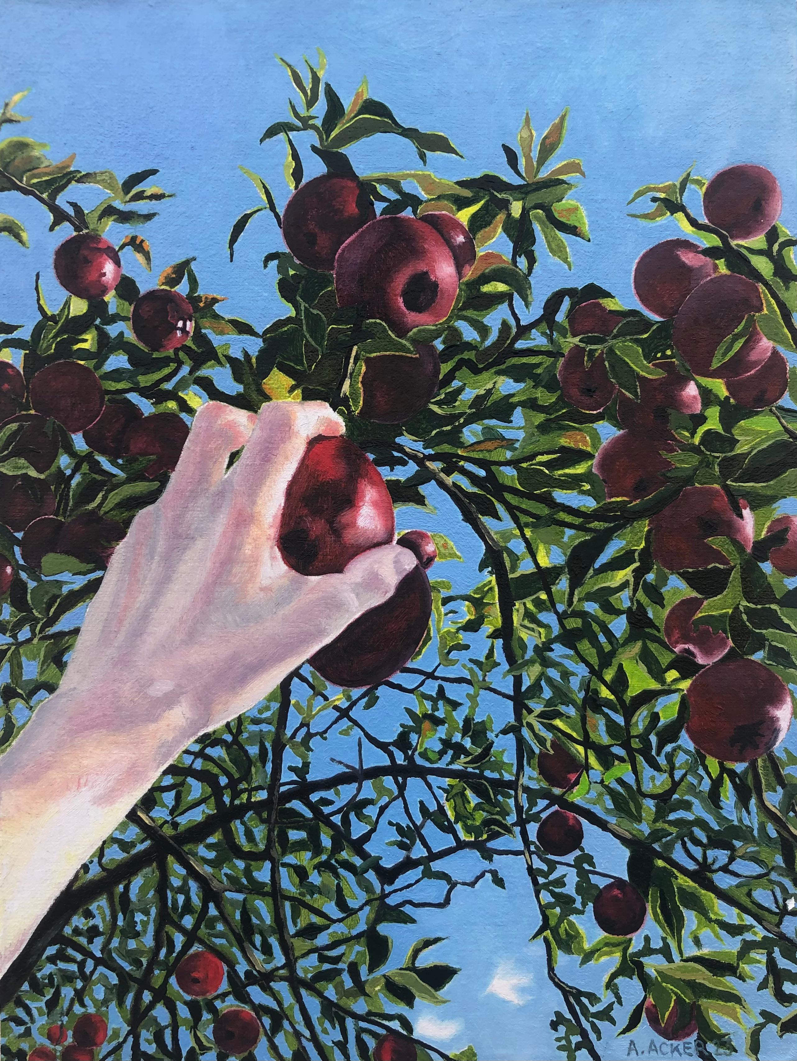 Amanda Acker Landscape Painting - Apple Picking, Hand Reaching for Red Fruit, Green Leaves, Tree, Blue Sky, Fall