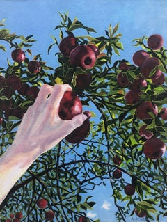 Apple Picking, Hand Reaching for Red Fruit, Green Leaves, Tree, Blue Sky, Fall