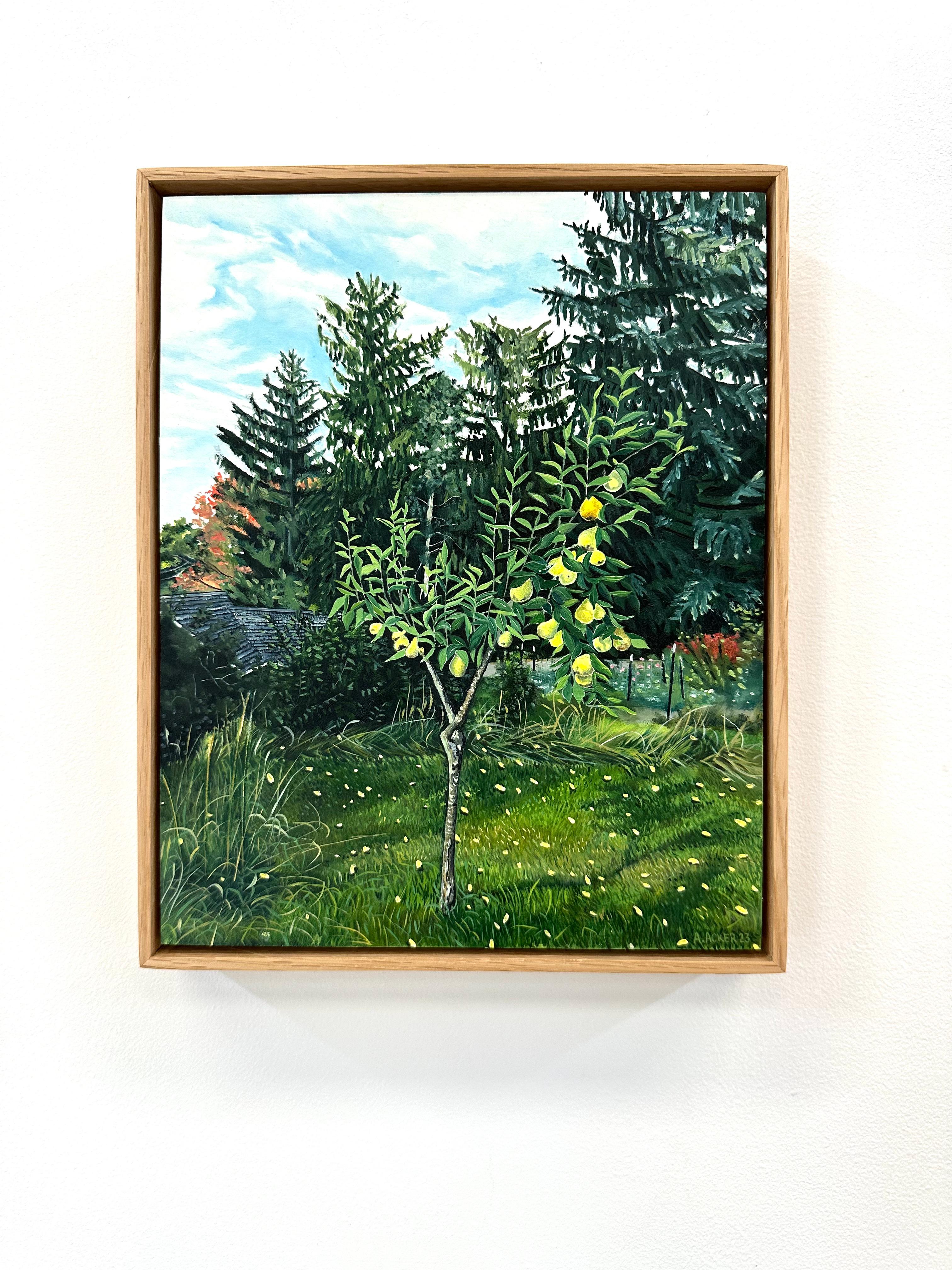 Backyard Pear, Yellow Fruit, Green Leaves, Grass, Trees, Blue Sky Clouds, Garden - Painting by Amanda Acker