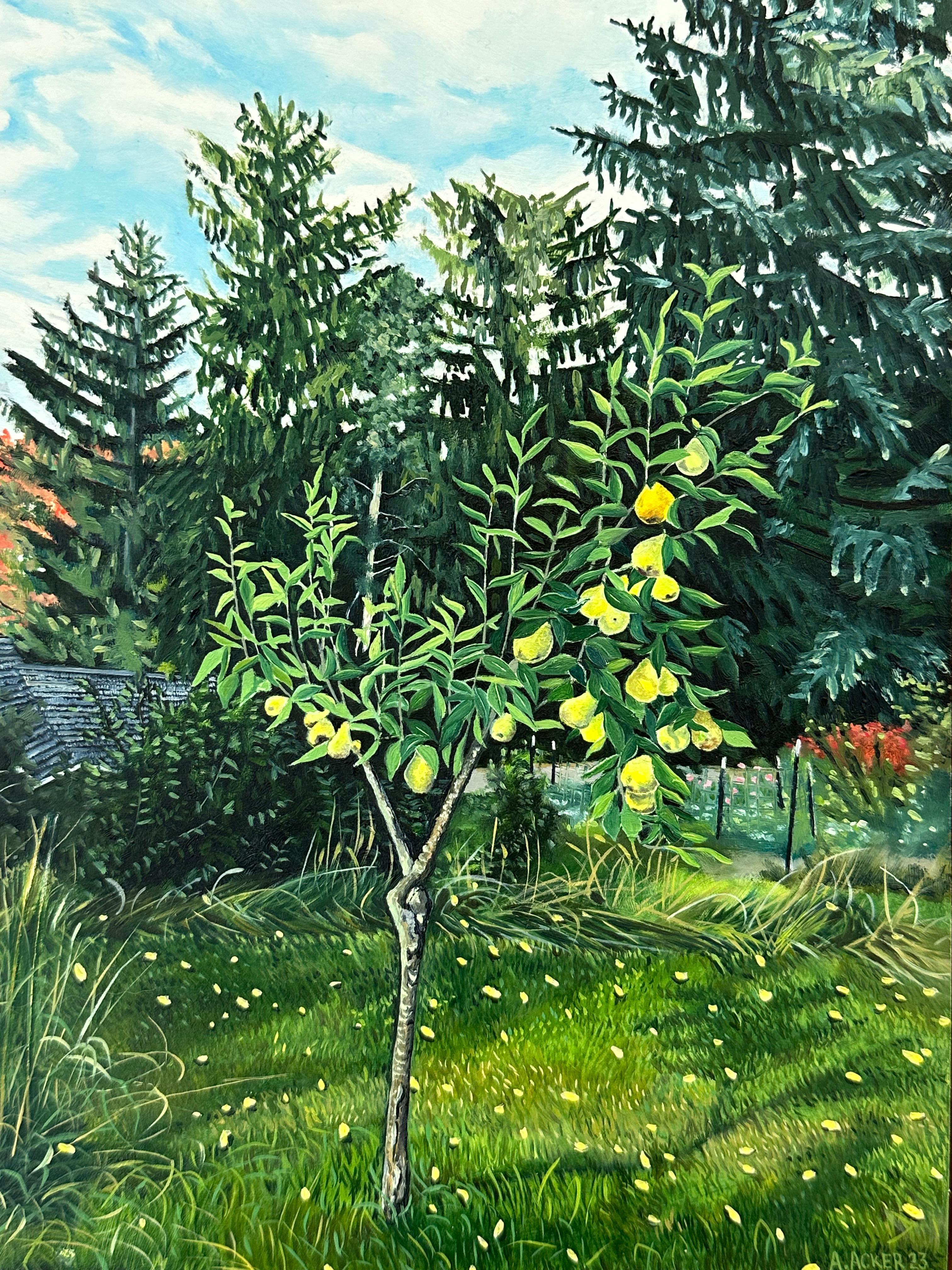 Yellow pears hang from a verdant fruit tree in a peaceful backyard surrounded by dark green pine trees beneath a calm blue sky with light wispy clouds, while yellow flowers spring up from the green grass in this idyllic garden scene. Signed and
